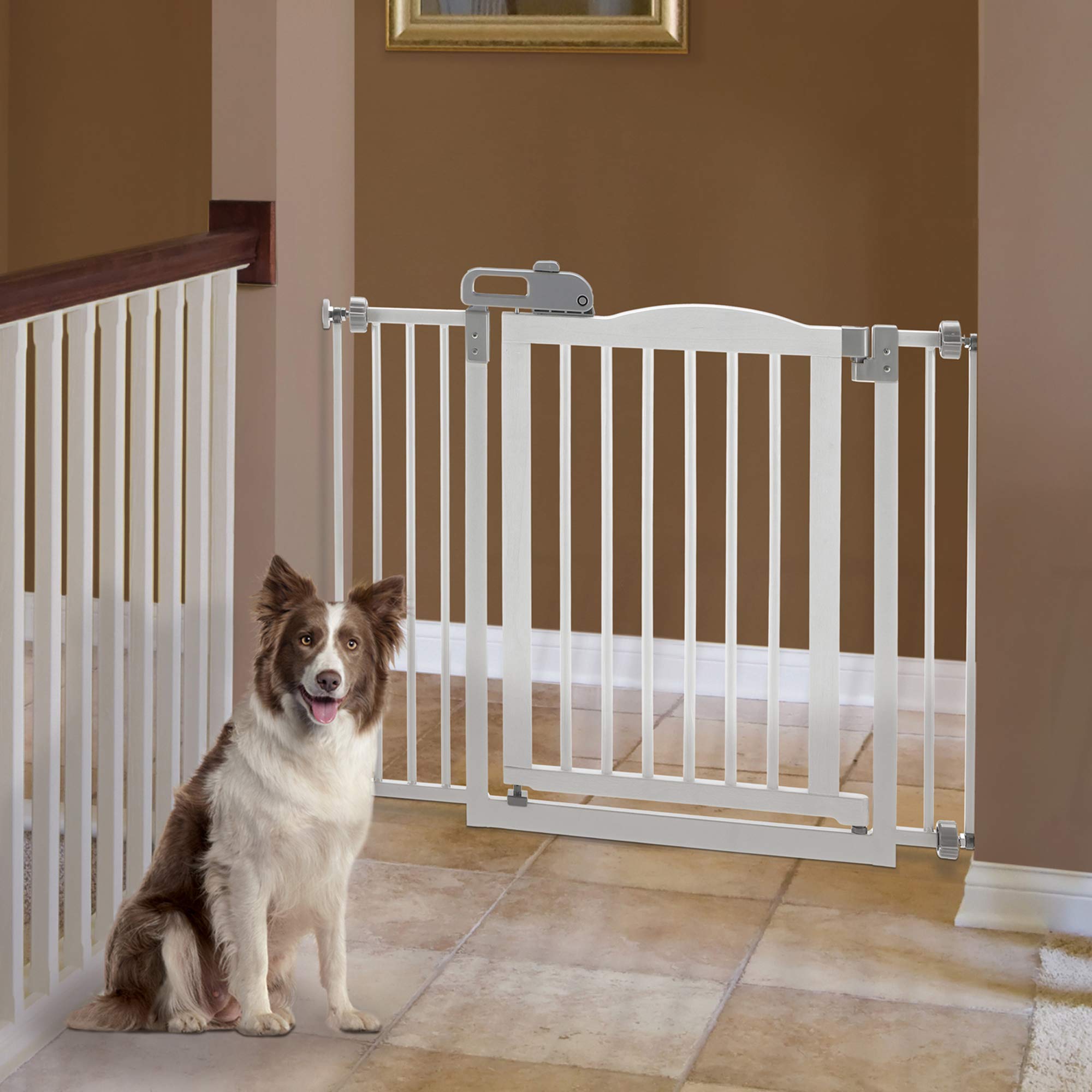 Richell One-Touch Gate II, Dog gate, Fits Openings from 32.1-36.4&quot;, White, 30.5&quot; H
