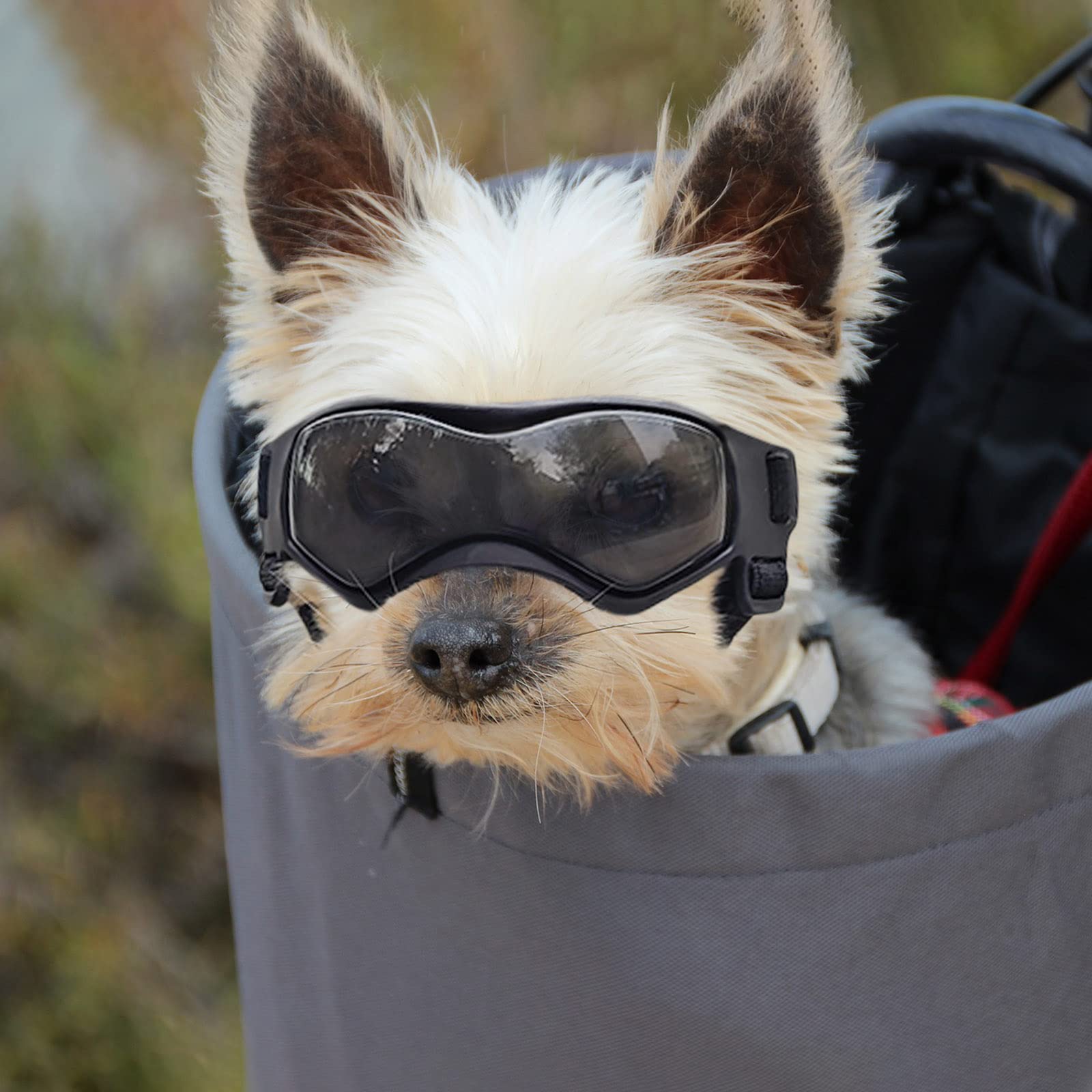 Enjoying Dog Sunglasses Small Breed, Uv Protection Dog Goggles Small Breed, Driving Puppy Eye Protection, Windproof Dustproof An