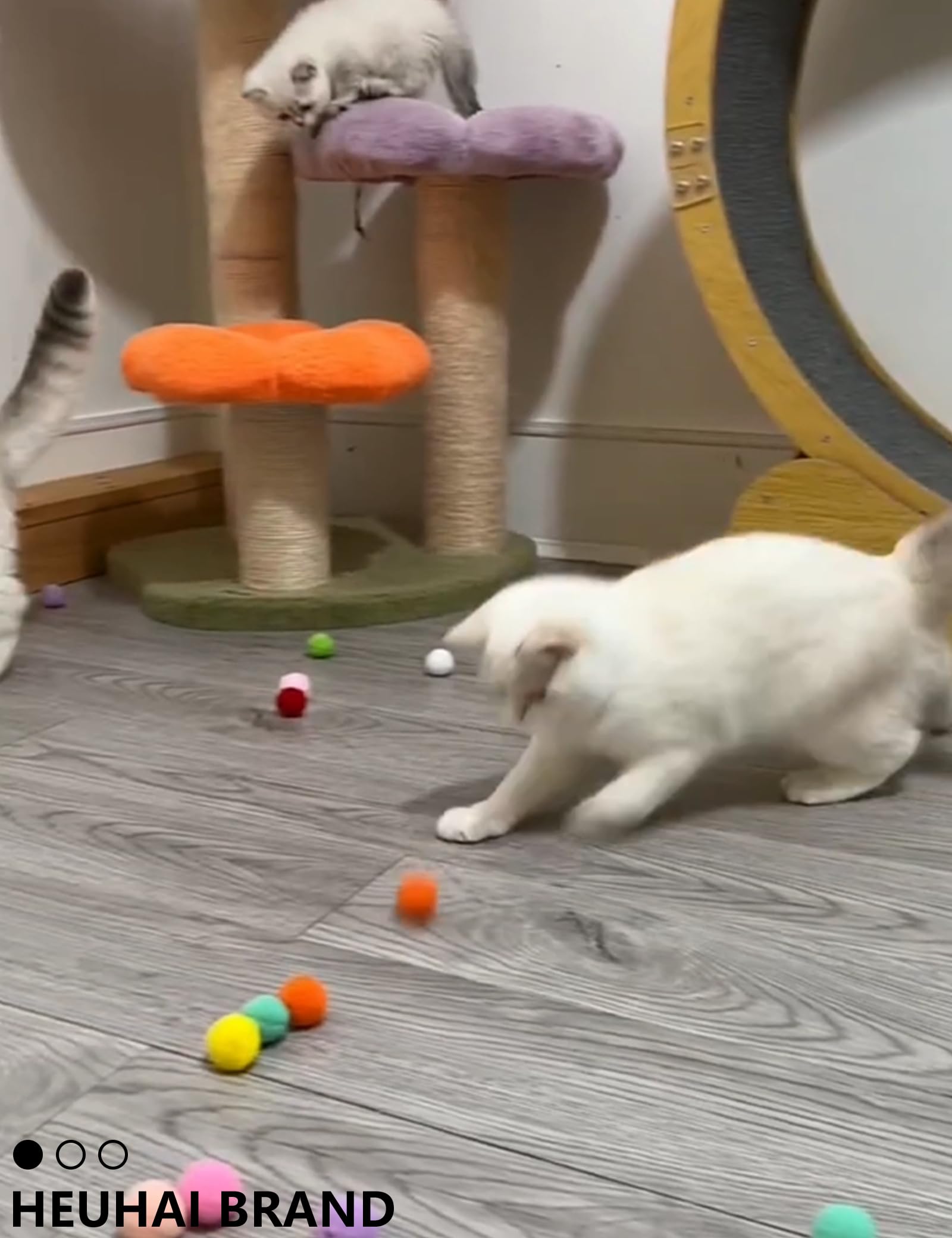 Heuhai 31 Pcs Cat Toys Bundle - Long-Lasting Fun, Safe For Kittens And Adult Cats (1.5'' - 3.74'', Cat Toys Ultimate Pack)