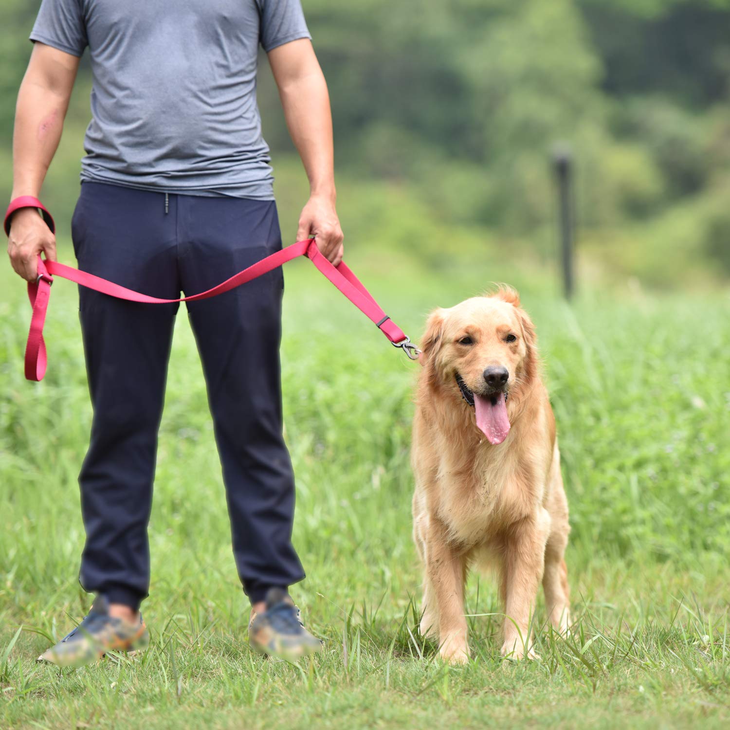 Anti-Escape Martingale Super Rugged Collar For Medium Boy And Girl Dogs - Daily Use Walking,Professional Training.(Medium,Rose Red Pink)