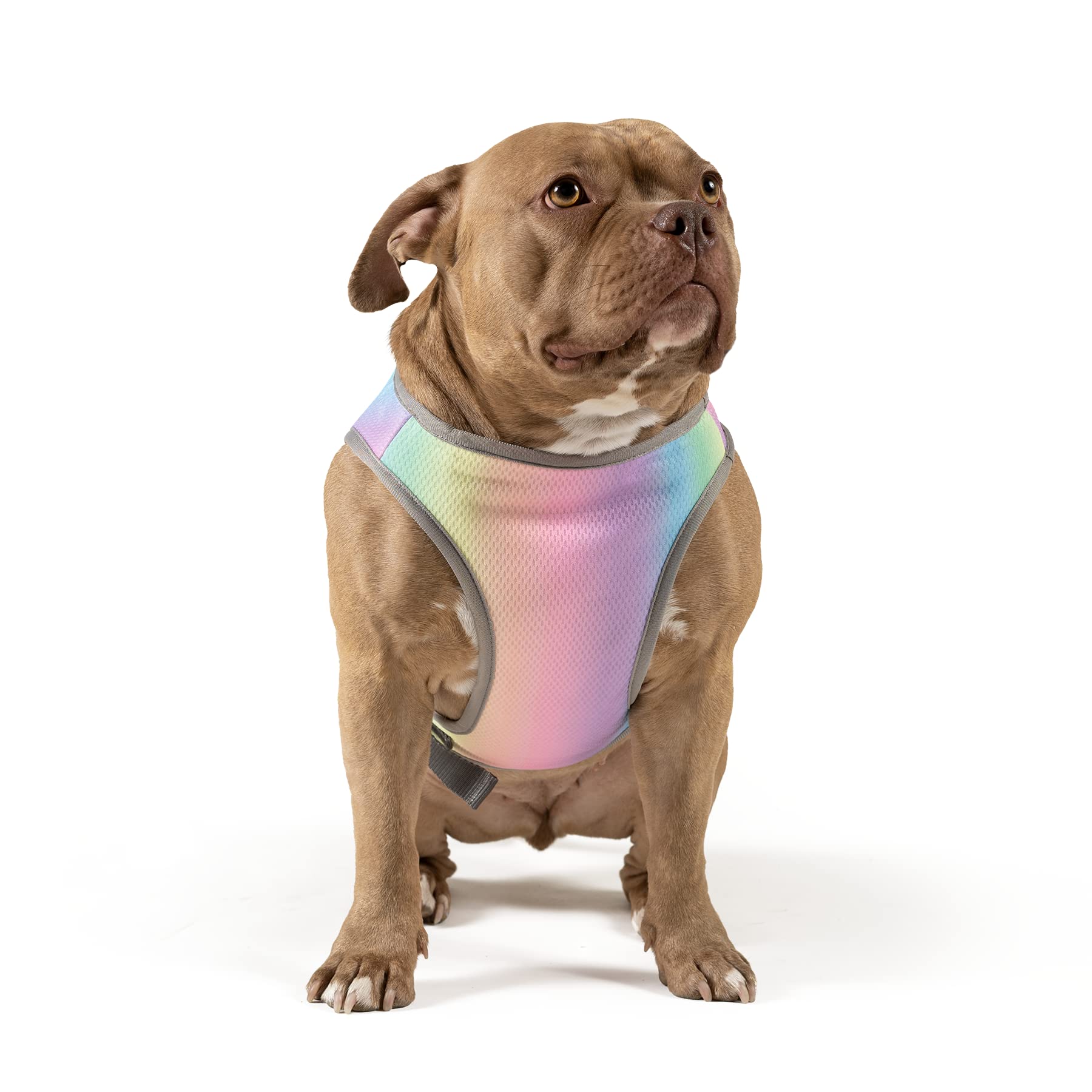 Canada Pooch Dog Cooling Vest - Evaporative Cooling Vest For Dogs With Breathable Mesh Material & Reflective Lining, Adjustable For Dogs 8 (7-9' Back Length), Rainbow