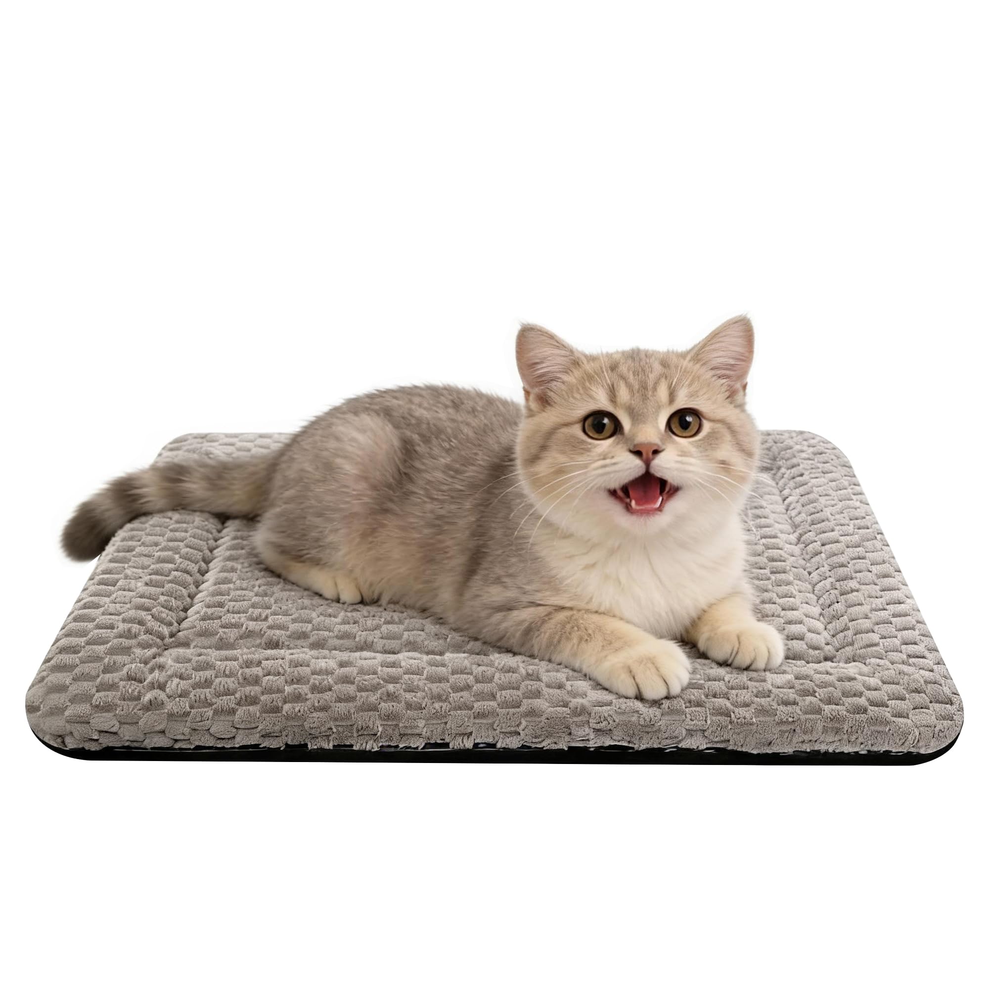 Dog Bed Mat - Soft & Comfortable Dog Kennel Pad for Crate - Durable Crate Bed & Mat for Dogs & Cats (Light Gray, XS(18*14*1.5))