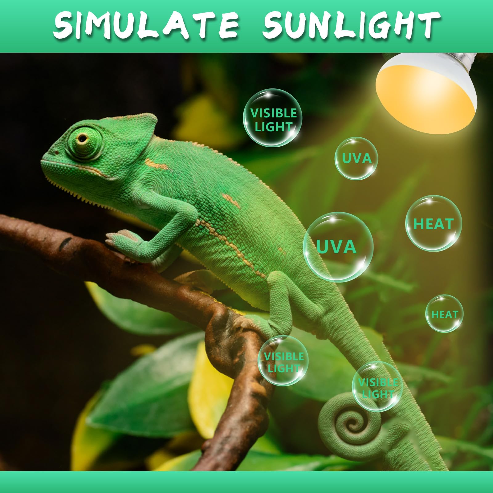 LUCKY HERP 40W Heat Lamp Bulbs 2 Pack - Daylight Basking Spot Light for Reptiles, Amphibians, Chameleons, Snakes, Lizards, Turtl