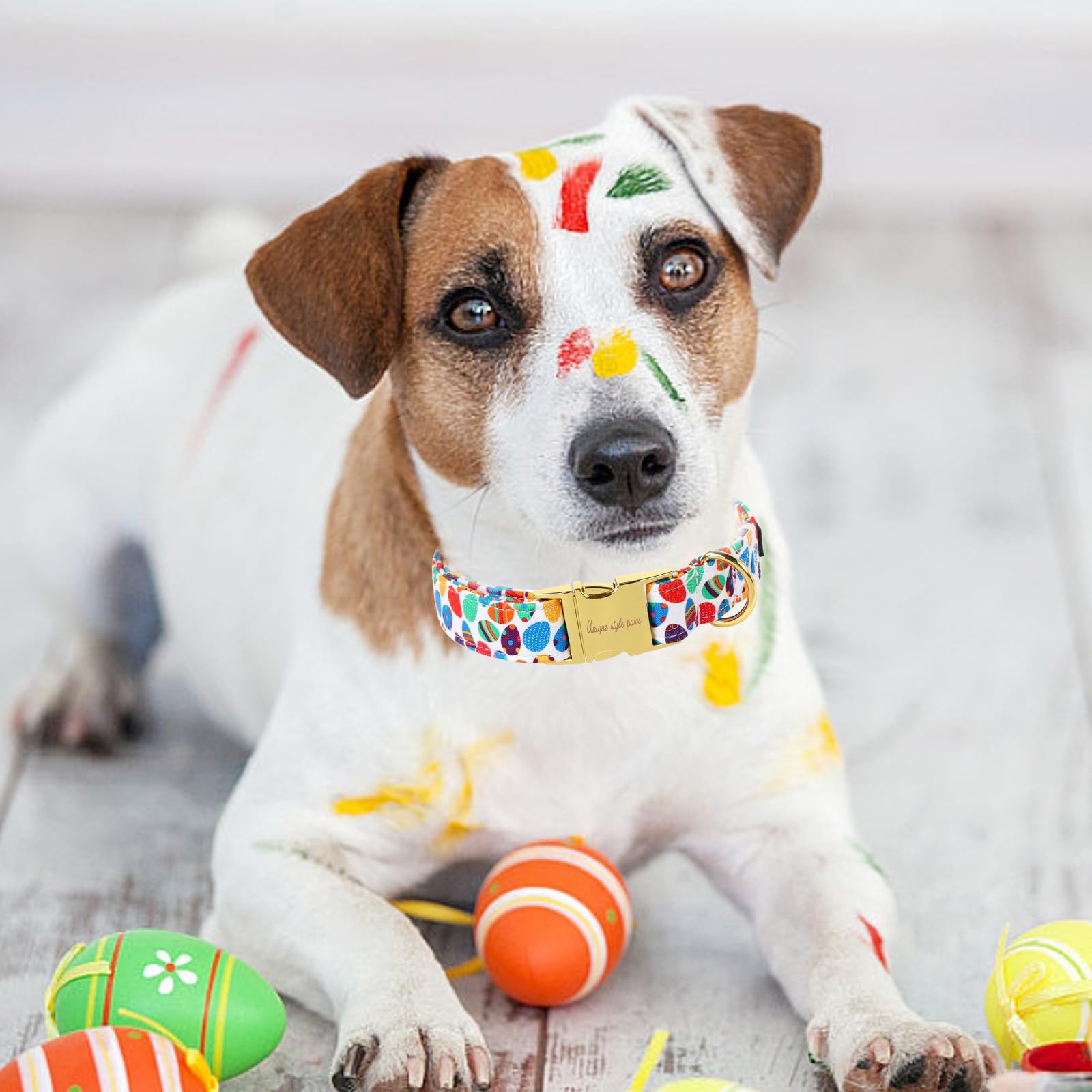 Unique Style Paws Easter Dog Collar Colorful Egg Rabbit Dog Collar Cotton Pet Collar For Large Medium Small Dogs
