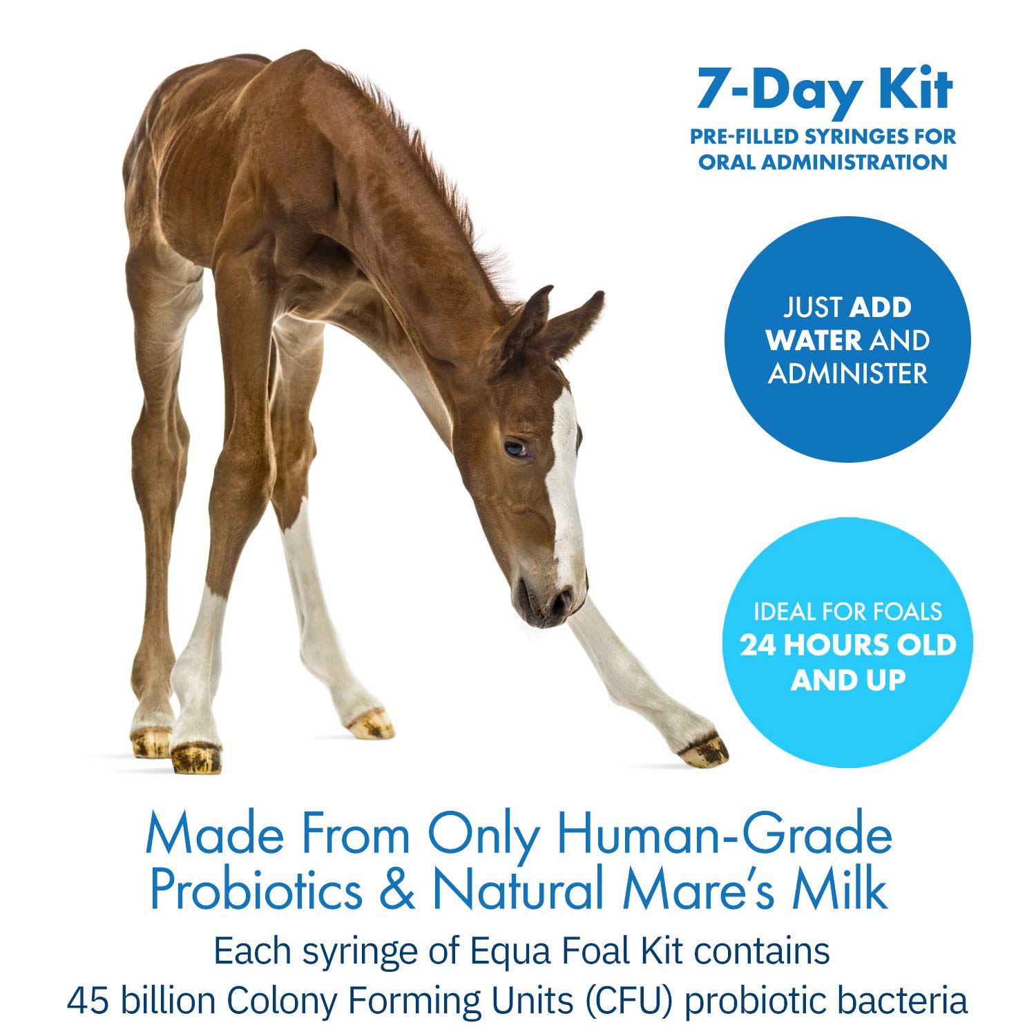 Equa Holistics HealthyGut Foal Kit for Horses Dietary Supplement, All-Natural Formula (14 g)