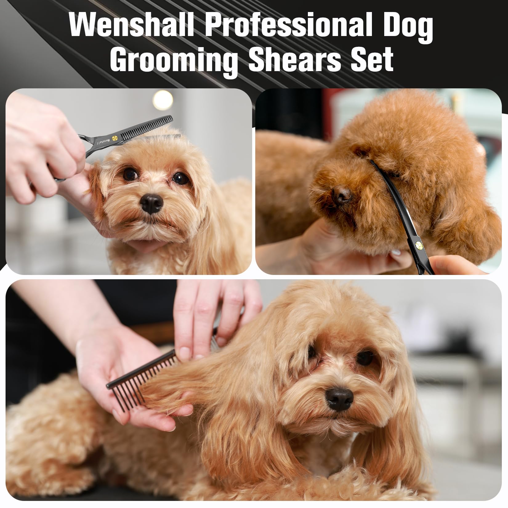 Wenshall Professional Dog Grooming Scissors Set - 6.5'' Thinning, 7'' Straight, 7'' Up-Curved, 7'' Down-Curved Scissors And Comb