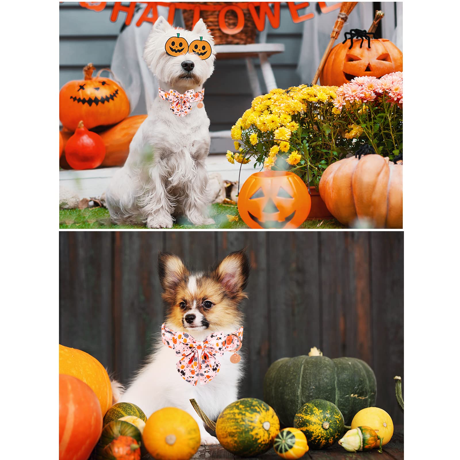 Up Urara Pup Halloween Dog Collar With Bow Tie, Pumpkin Cotton Bowtie Collar For Medium Girl Dog, Halloween Bowtie Collar With Durable Metal Buckle, Adorable Pet Bow Collar, M, Neck 13.5-22In