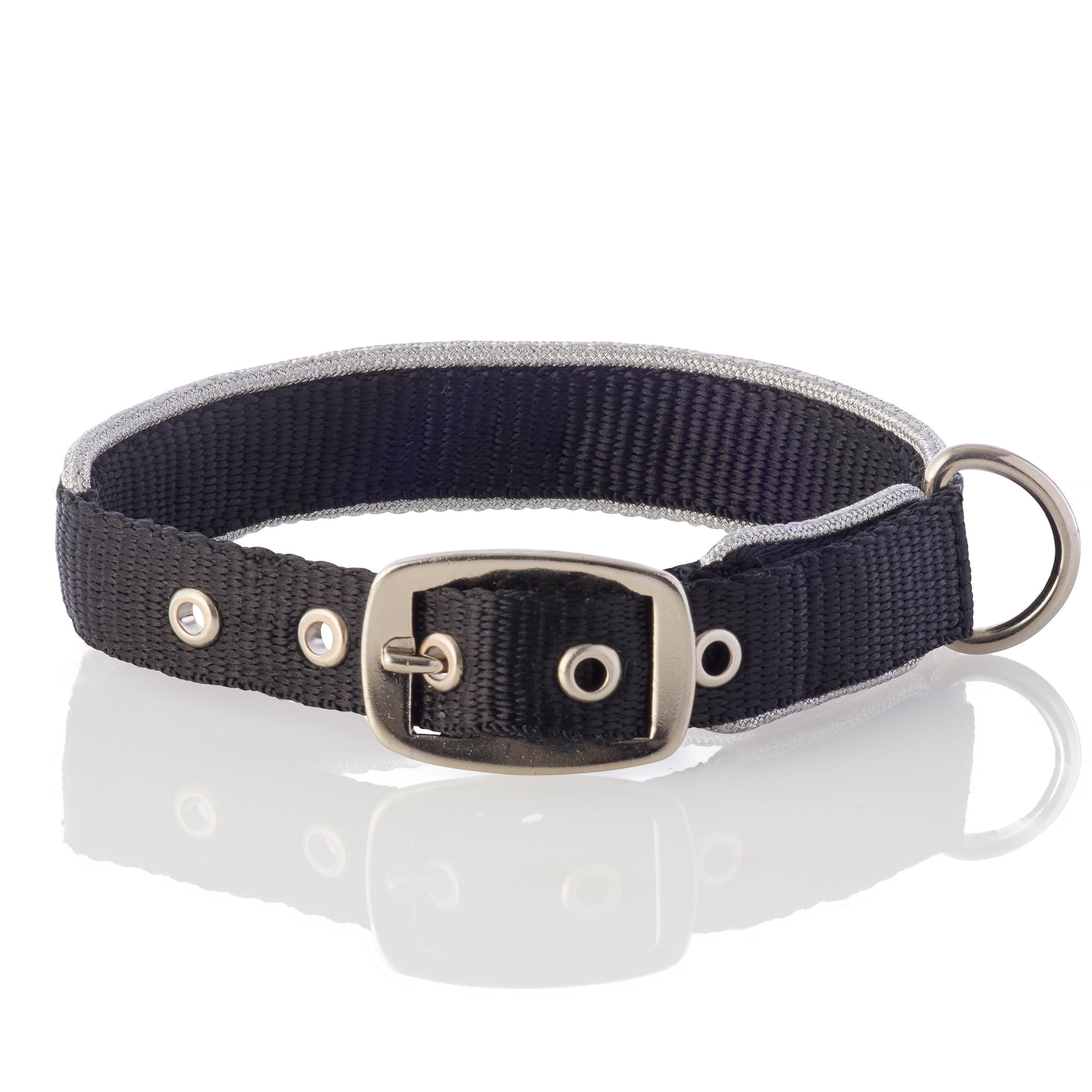 Pet Passion Adjustable Silver Trimmed Dog Collar For Pets Small, Medium And Large Dogs, Silver Black, Medium
