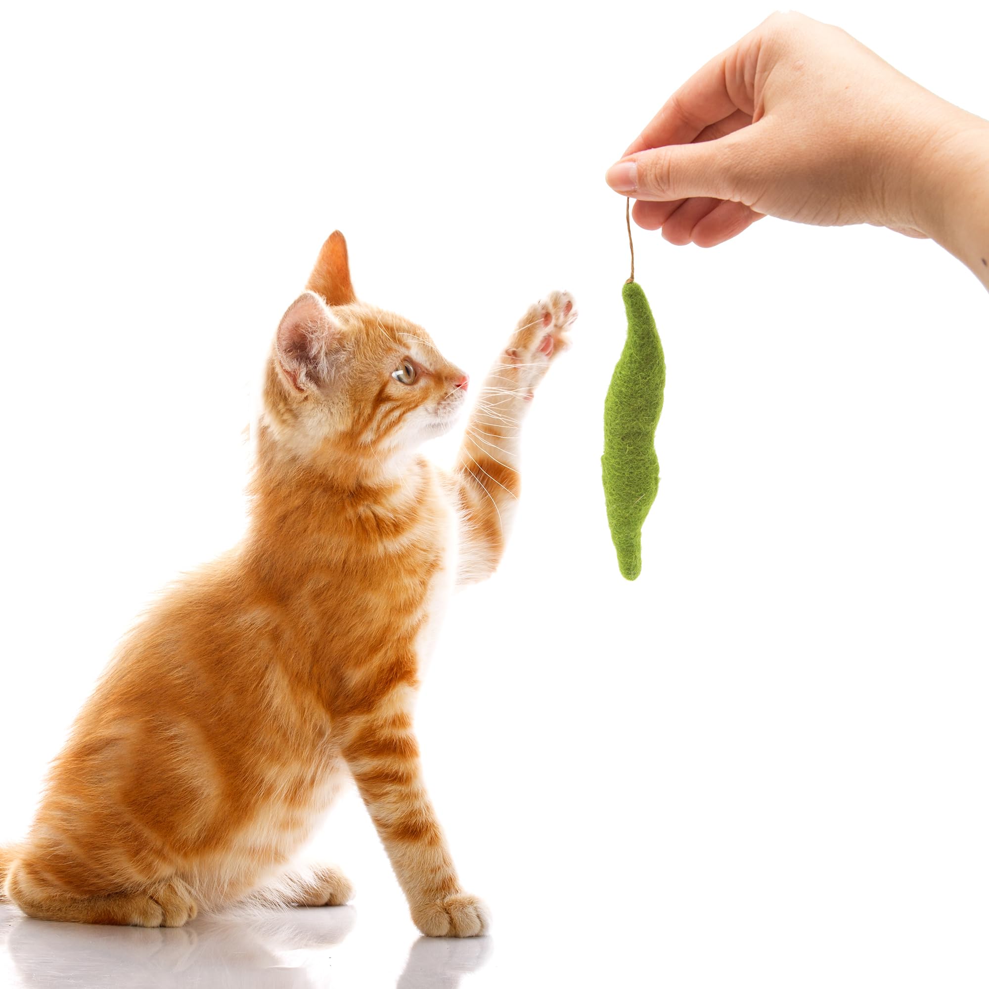 Glaciart One Green Beans Cat Toy - 5 Pcs | Soft Fuzzy Enrichment 100% Natural Wool - Interactive Catnip Play Cat Toy Set - Safe