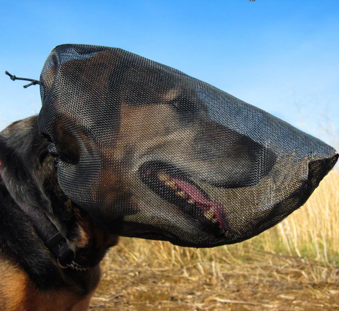 Outfox Field Guard Size L - Vet-Recommended Dog Safety Mask For Foxtails, Grass Seeds, Bugs And Debris | Breathable, Lightweight