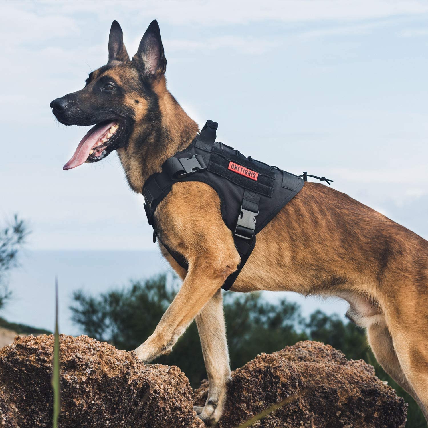OneTigris Tactical Dog Harness Vest with Handle, Dog Harness for Large Medium Dogs,No-Pull Service Dog Vest with Hook & Loop Pan