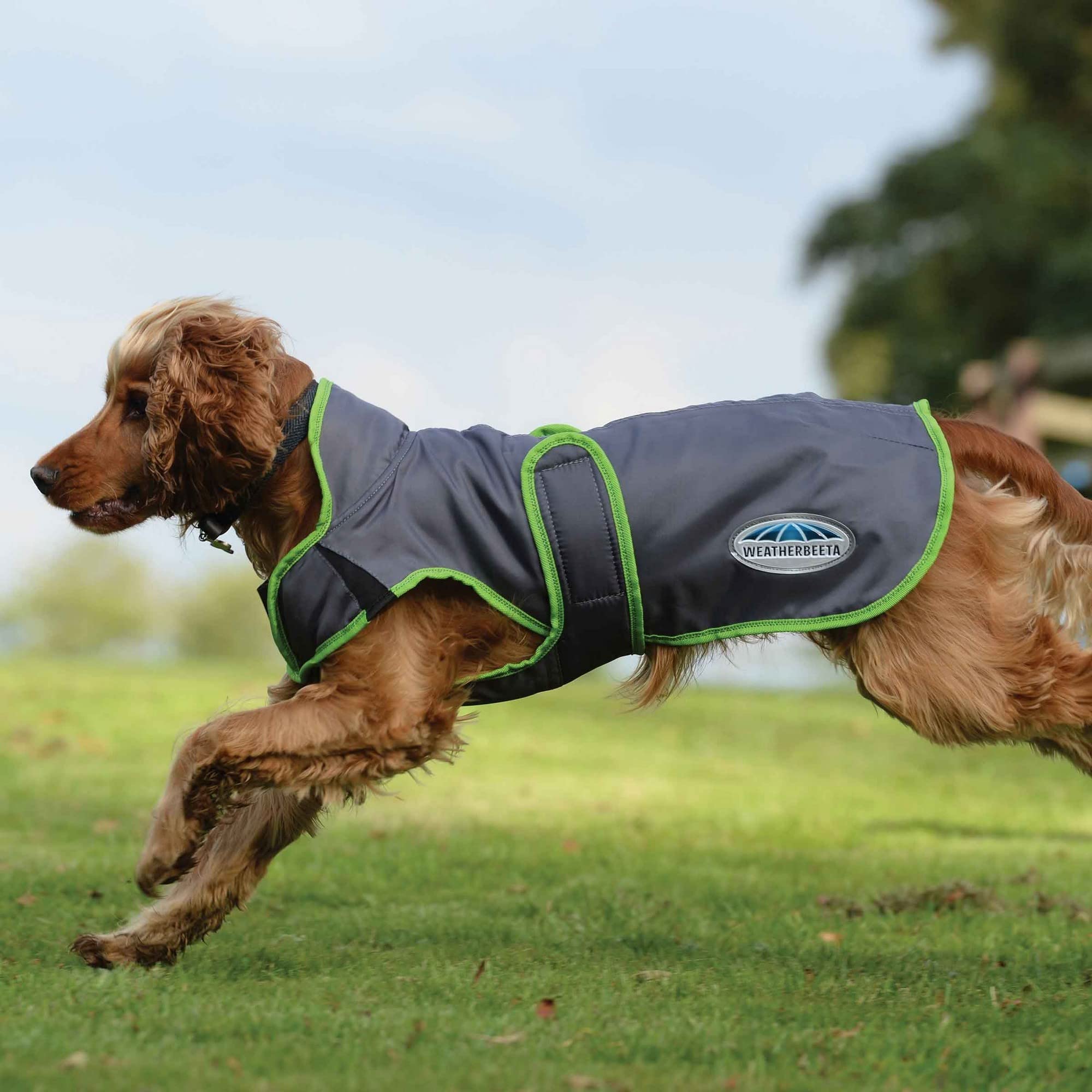 Weatherbeeta Comfitec Windbreaker Free Deluxe Dog Coat, Dark Blue/Grey/White, 16'