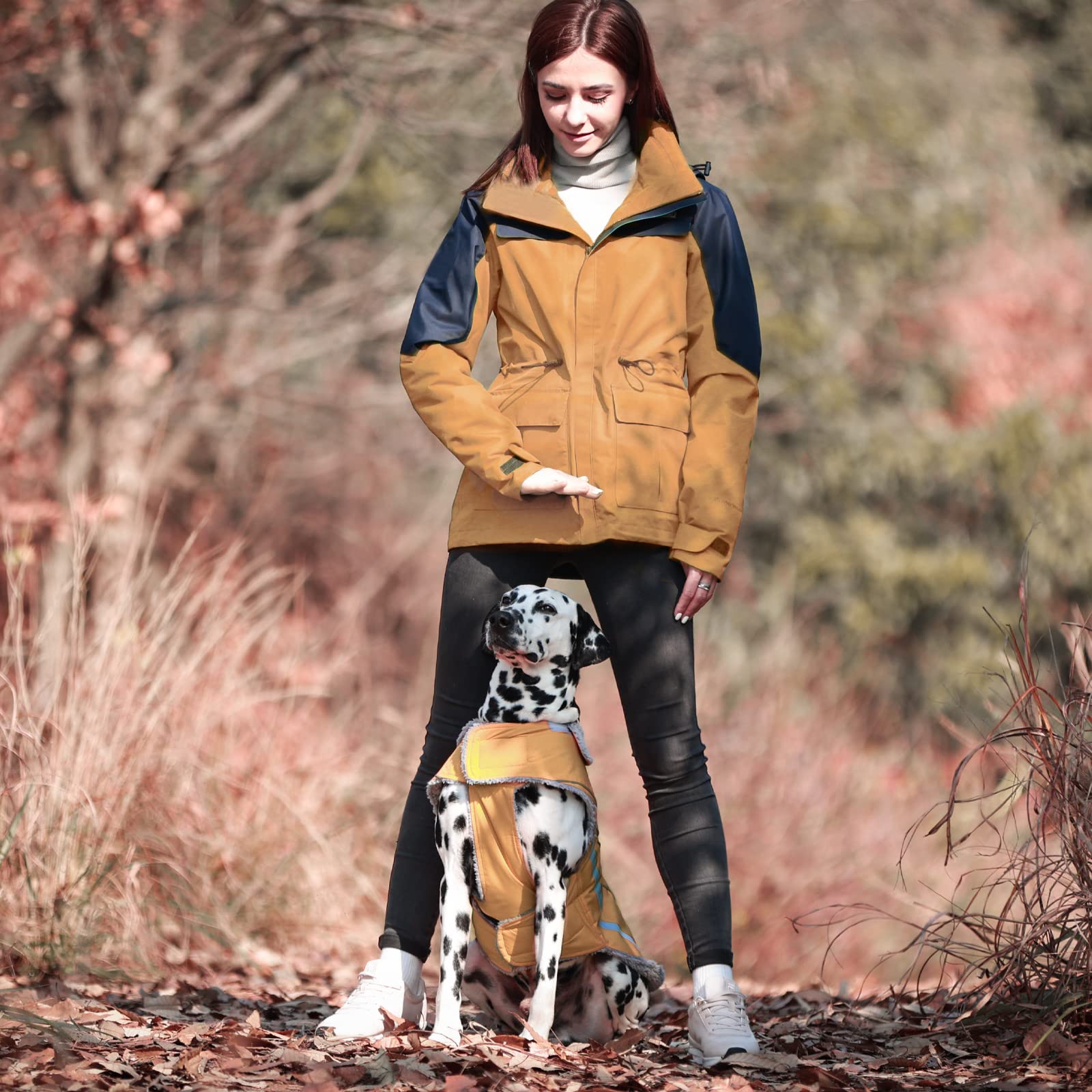 Vivaglory Lightweight Cozy Fleece Lined Dog Jacket For Late Autumn And Early Winter, Water Resistant Dog Fleece Vest For Puppy S