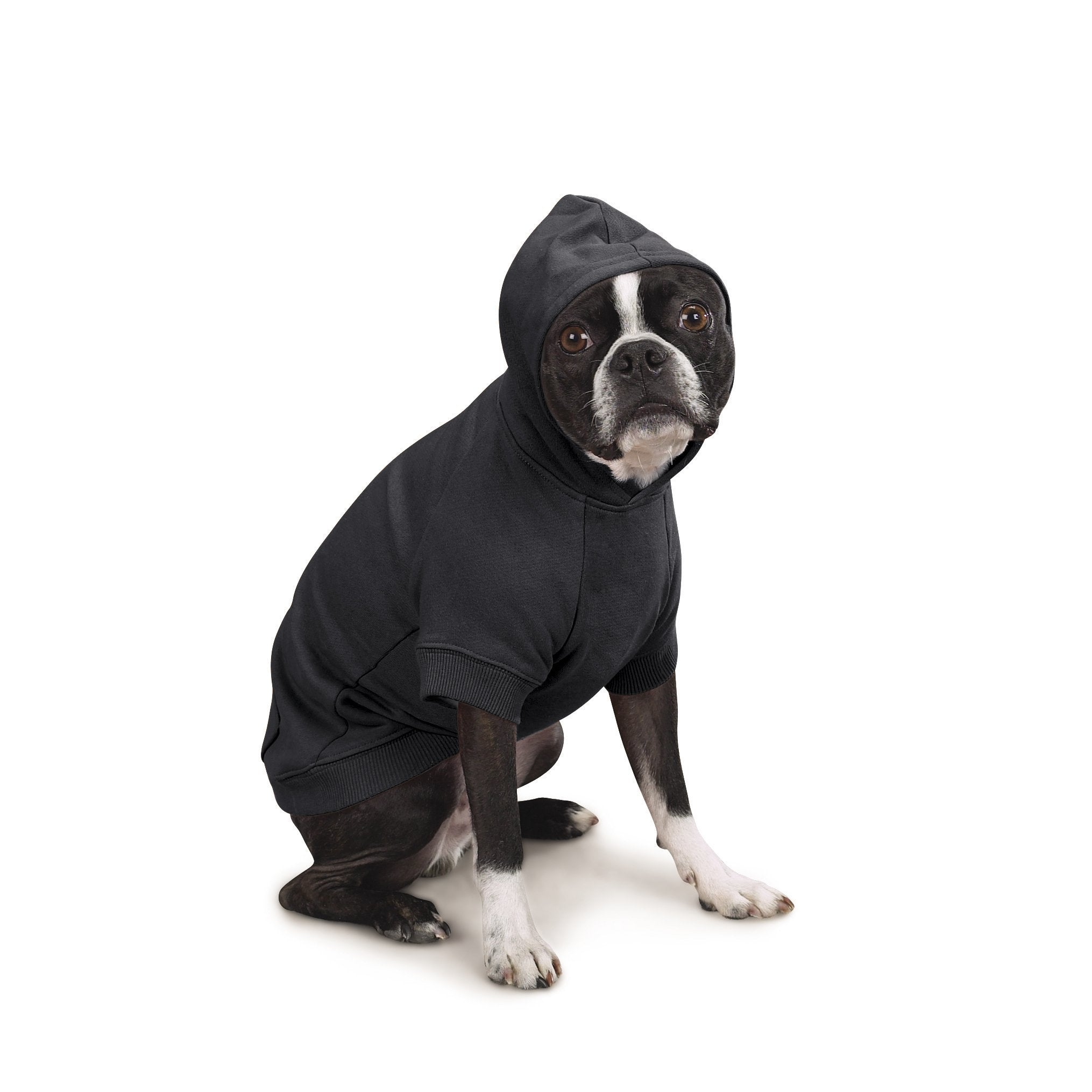 Zack & Zoey Basic Hoodie For Dogs, 8' X-Small, Jet Black