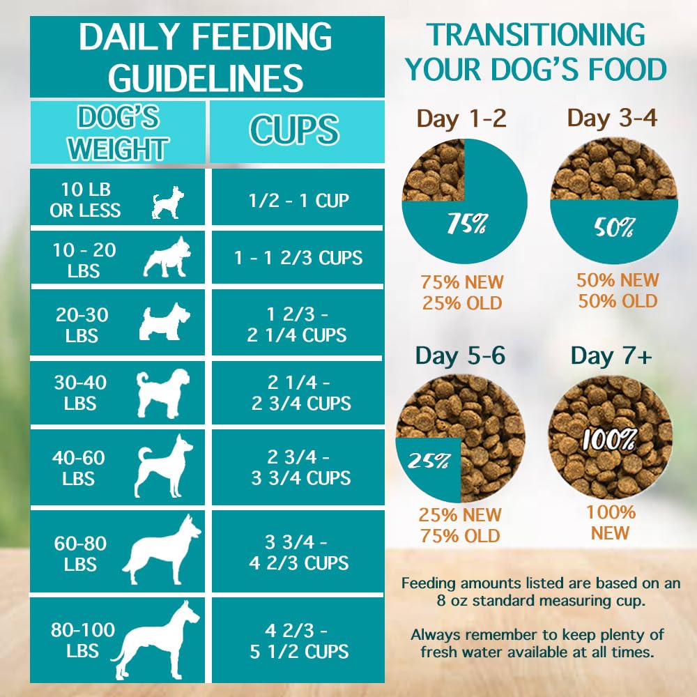 Chicken Soup for the Soul Adult Dry Dog Food, Beef & Brown Rice, 13.5lb, Real Meat First Ingredient, Supports Gut & Immune Health