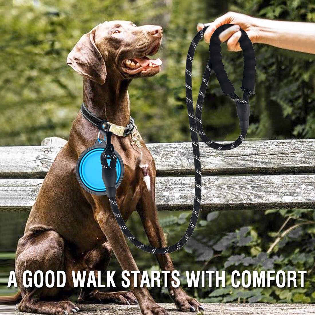 COOYOO 2 Pack Dog Leash 5 FT Heavy Duty - Comfortable Padded Handle - Reflective Dog Leash for Medium Large Dogs with Collapsibl