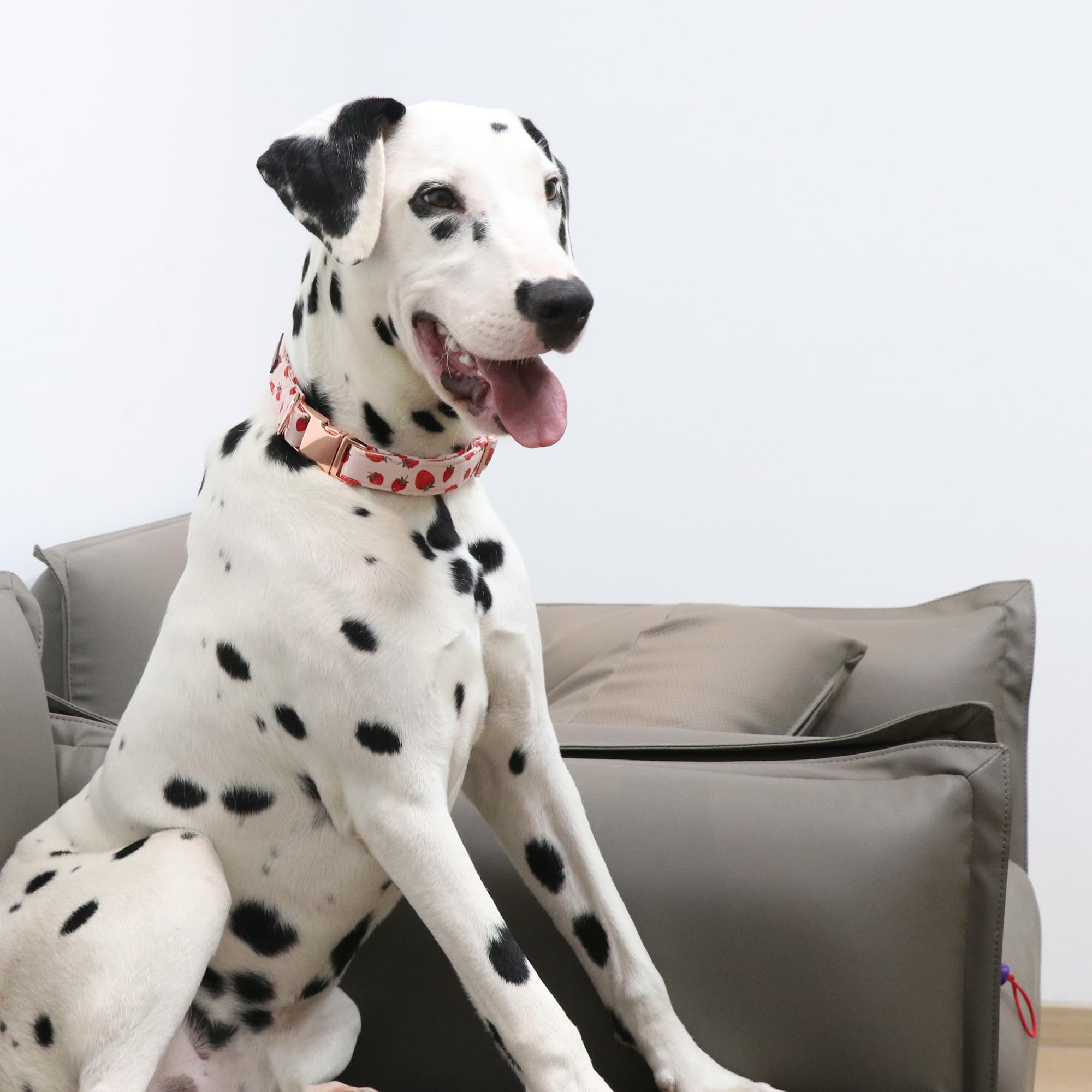 Lionet Paws Dog Collar, Comfortable Adjustable Cute Collar With Metal Buckle For Male Female Dogs, Strawberry Pattern, Xlarge, N