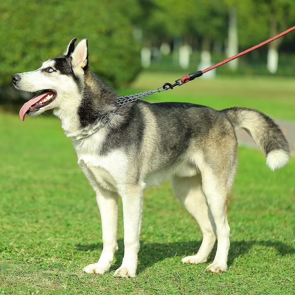 Cbbpet Dog Prong Collar, Adjustable Dog Training Collar With Quick Release Buckle For Small Medium Large Dogs (Silver, Xl /4.0Mm