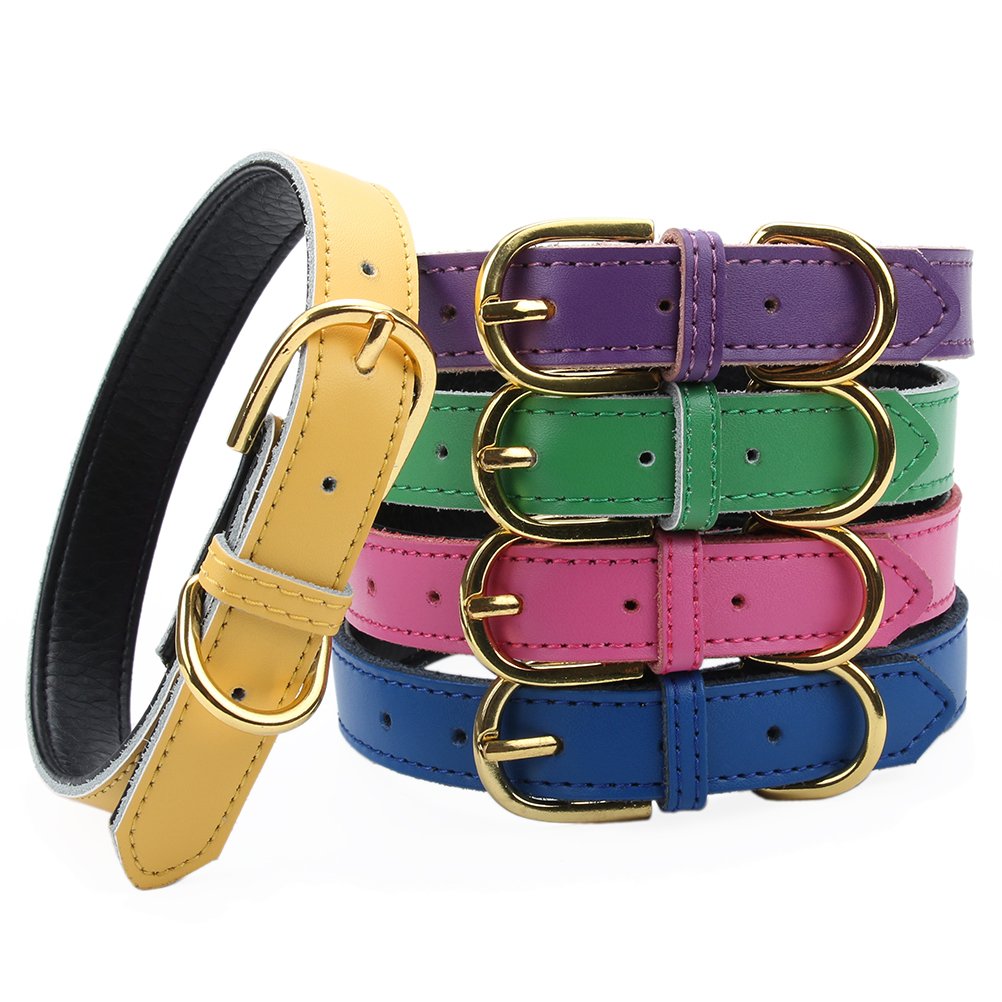 Aolove Basic Classic Padded Leather Pet Collars For Cats Puppy Small Medium Dogs (X-Small (Neck 8.0'-10'), Rose Red)