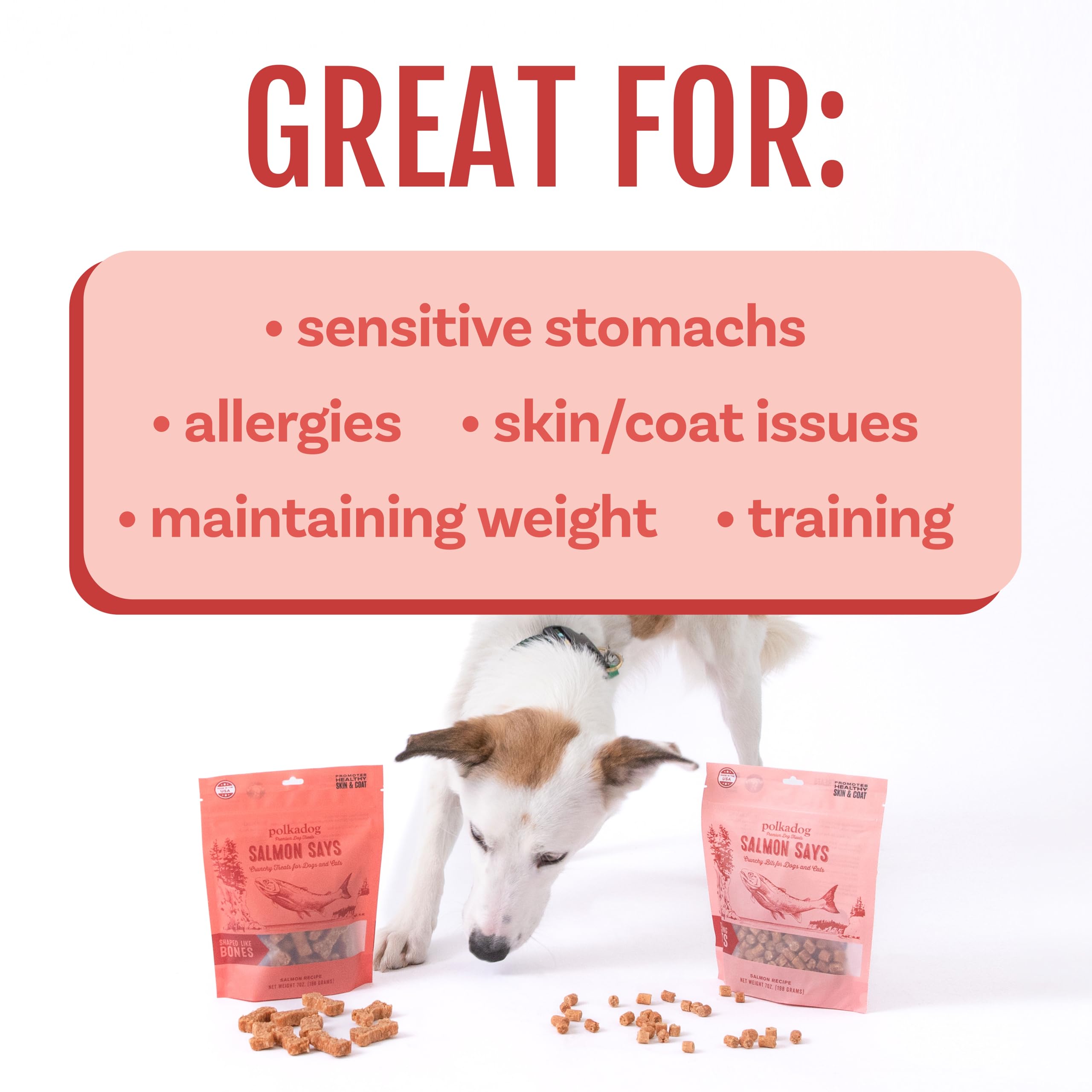 Polkadog Salmon Says Training Bits - Omega-3 Rich, Low Fat Healthy Dog Treat - Digestible, Vitamin & Mineral Packed Dog Snacks -