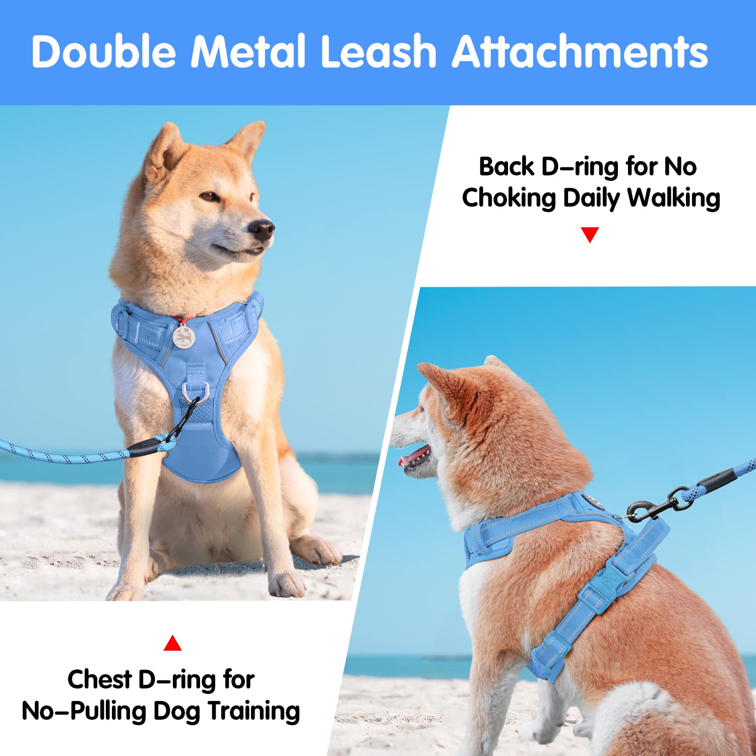 Poypet No Pull Dog Harness And 5 Feet Leash Set, Release On Neck Reflective Adjustable Pet Vest, Front & Back 2 D-Ring And Soft