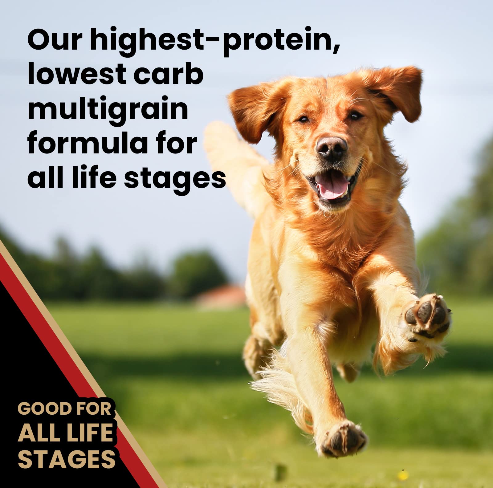 Victor Super Premium Dog Food - Purpose - Nutra Pro - Gluten Free, High Protein Low Carb Dry Dog Food for Active Dogs of All Age