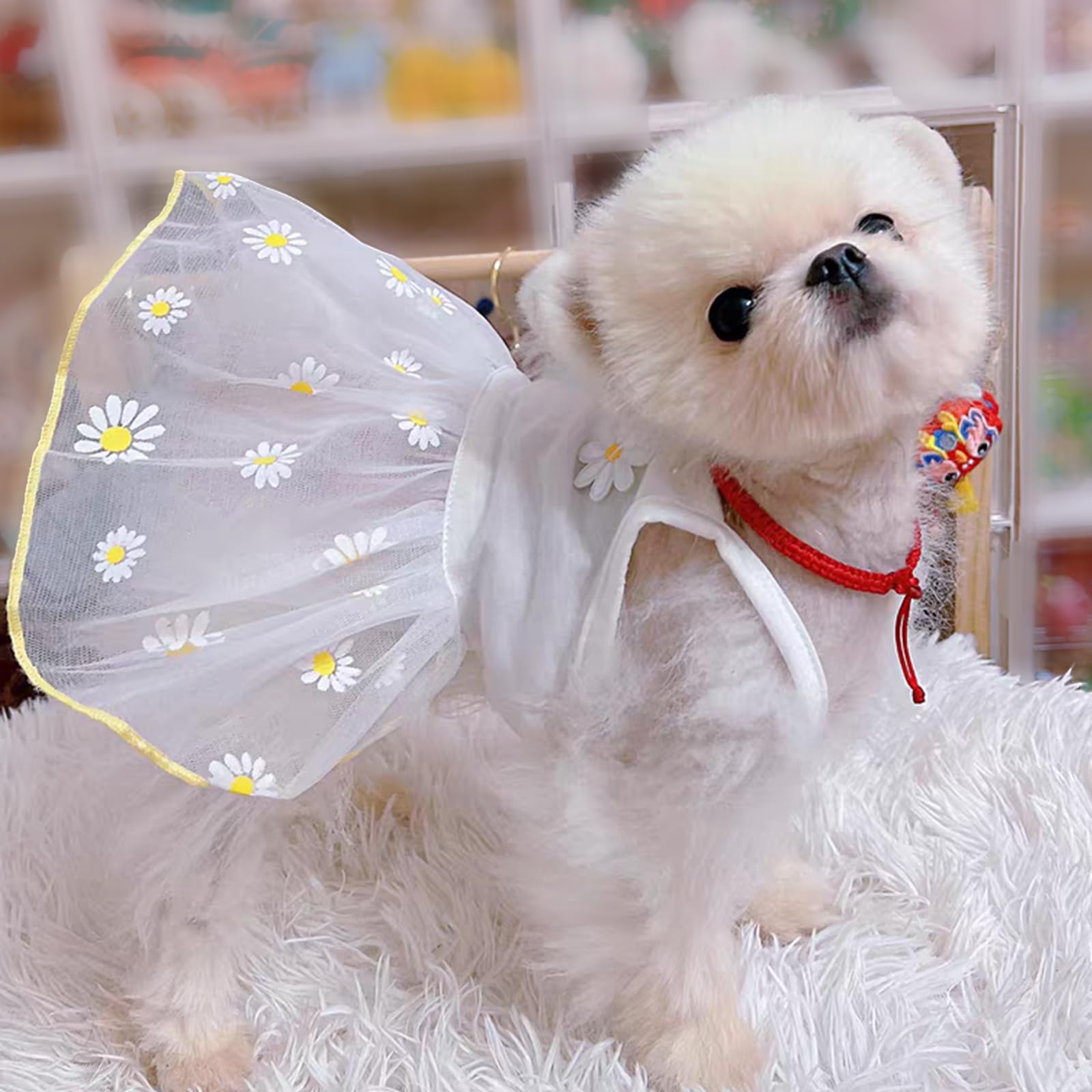 White Daisy Dog Cat Dress For Small Dogs Girl Cute Dog Princess Dresses Puppy Tutu Skirt Chihuahua Teddy Pomeranian Sundress Bir