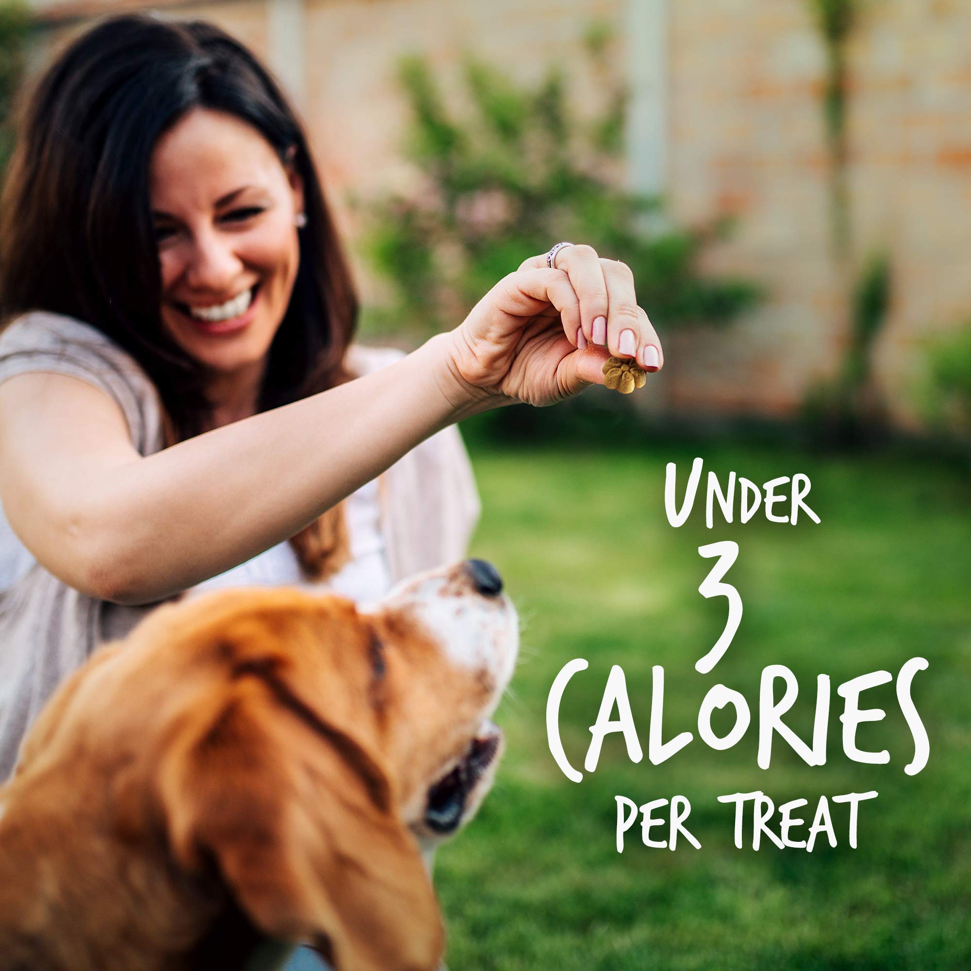 Fruitables Skinny Mini Dog Treats ?Grilled Bison ?Dry Biscuit ?12Oz