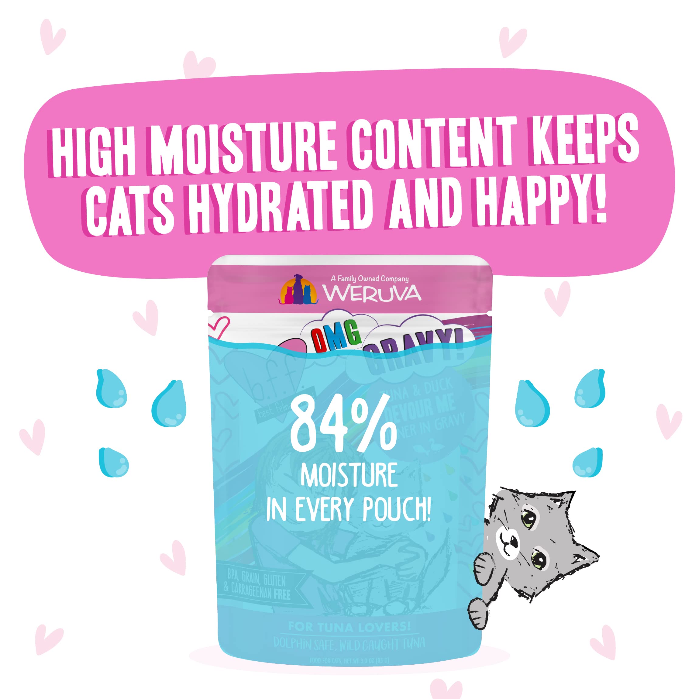 Weruva B.F.F. OMG - Best Feline Friend Oh My Gravy!, Tuna & Duck Devour Me with Tuna & Duck in Gravy Cat Food, 3oz Pouch (Pack o