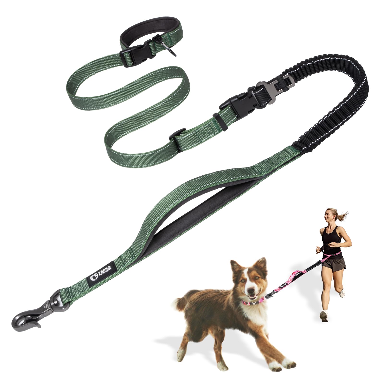 Tspro Hands Free Dog Leash For Walking Running With Safety Car Seat Belt Shock Absorbing Bungee Leash With Padded Handle (Green)