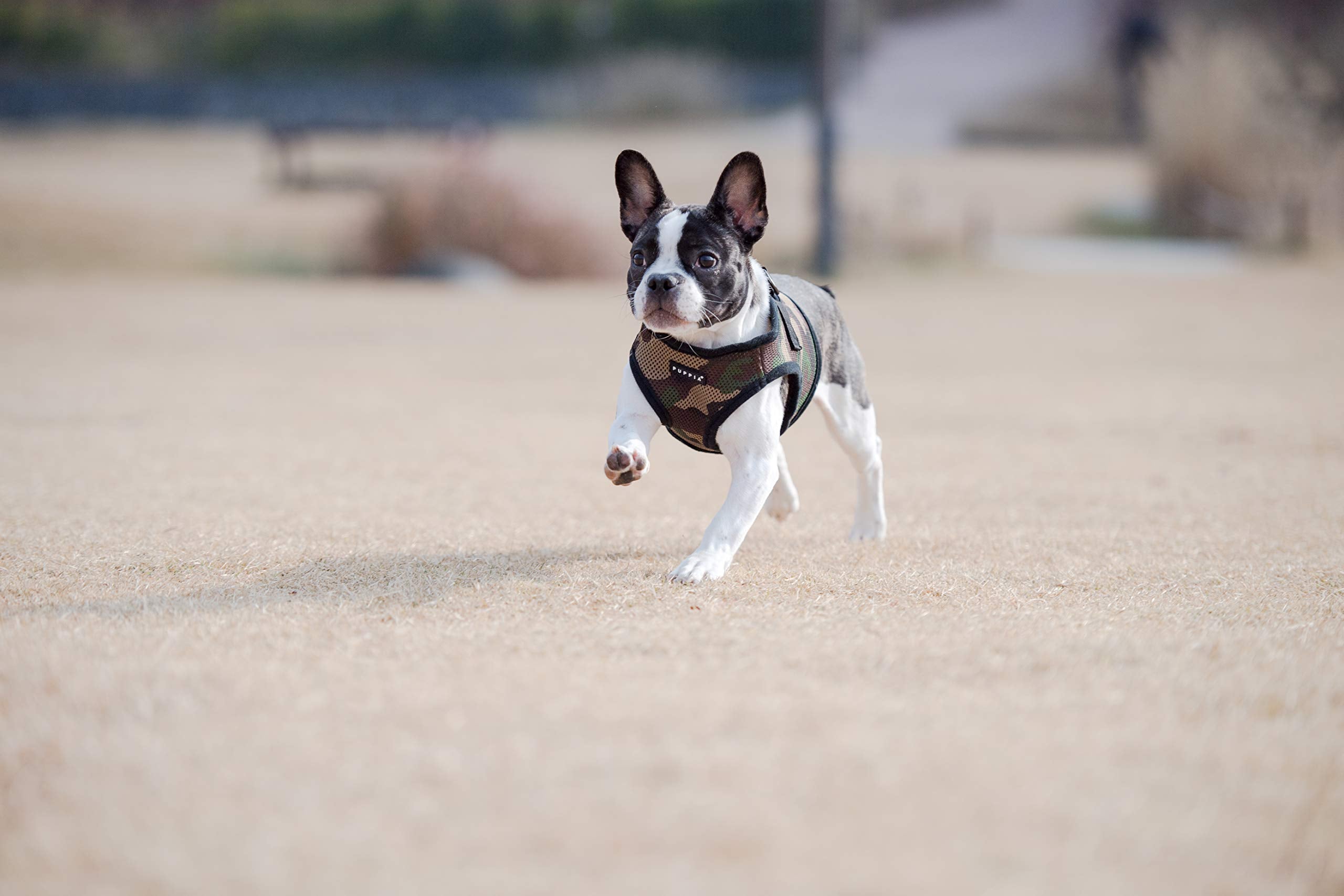 PUPPIA International Puppia Harness Soft B Vest CAMO Small