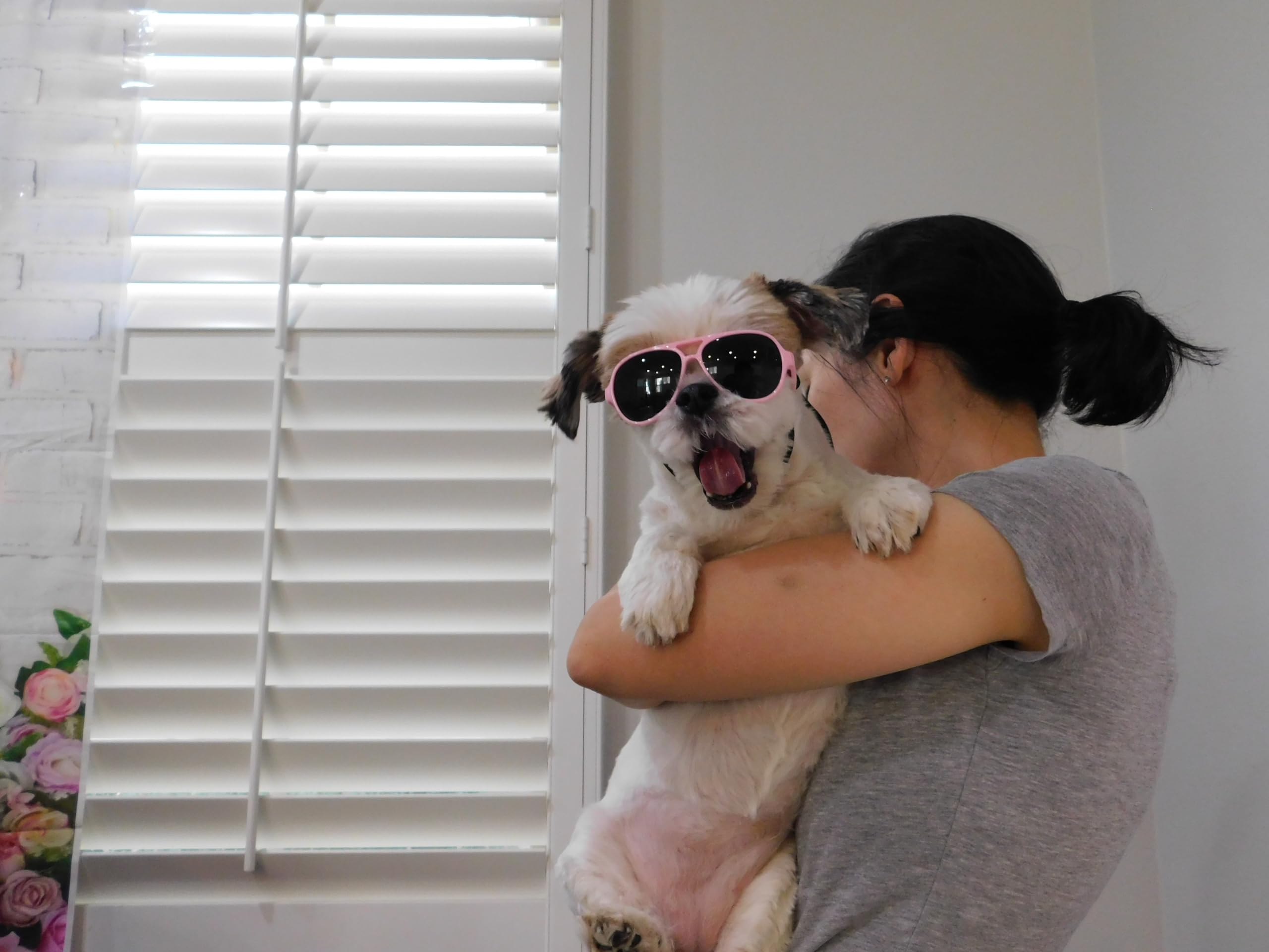 G029 Small Dog Breed Up To 15Lbs Cat Pet Aviator Sunglasses Glasses (Black)