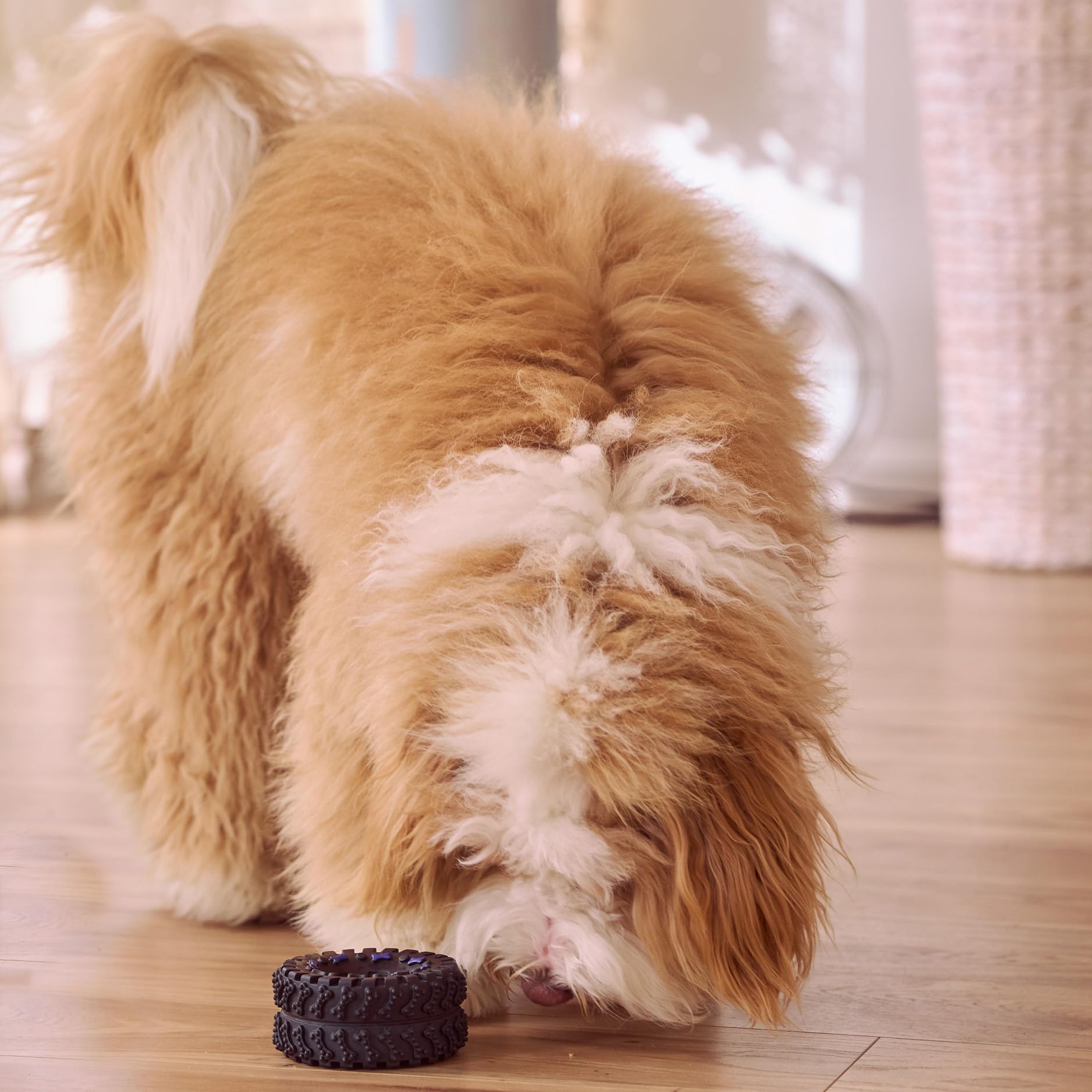 Ethical Squeaky Vinyl Tire Dog Toy, 3-1/2-Inch