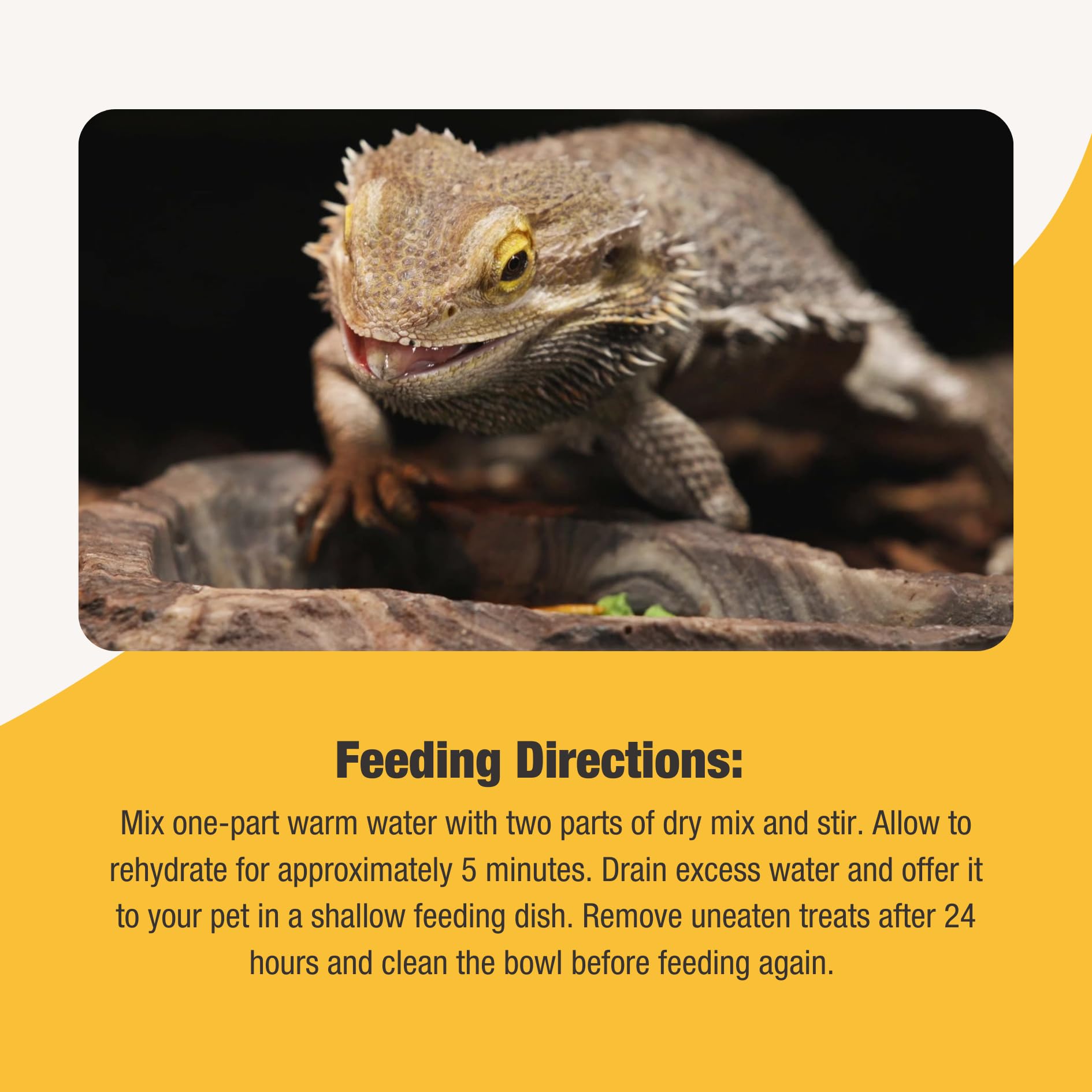 Flukers Grub Bag Calcium Fortified Treats for Bearded Dragons