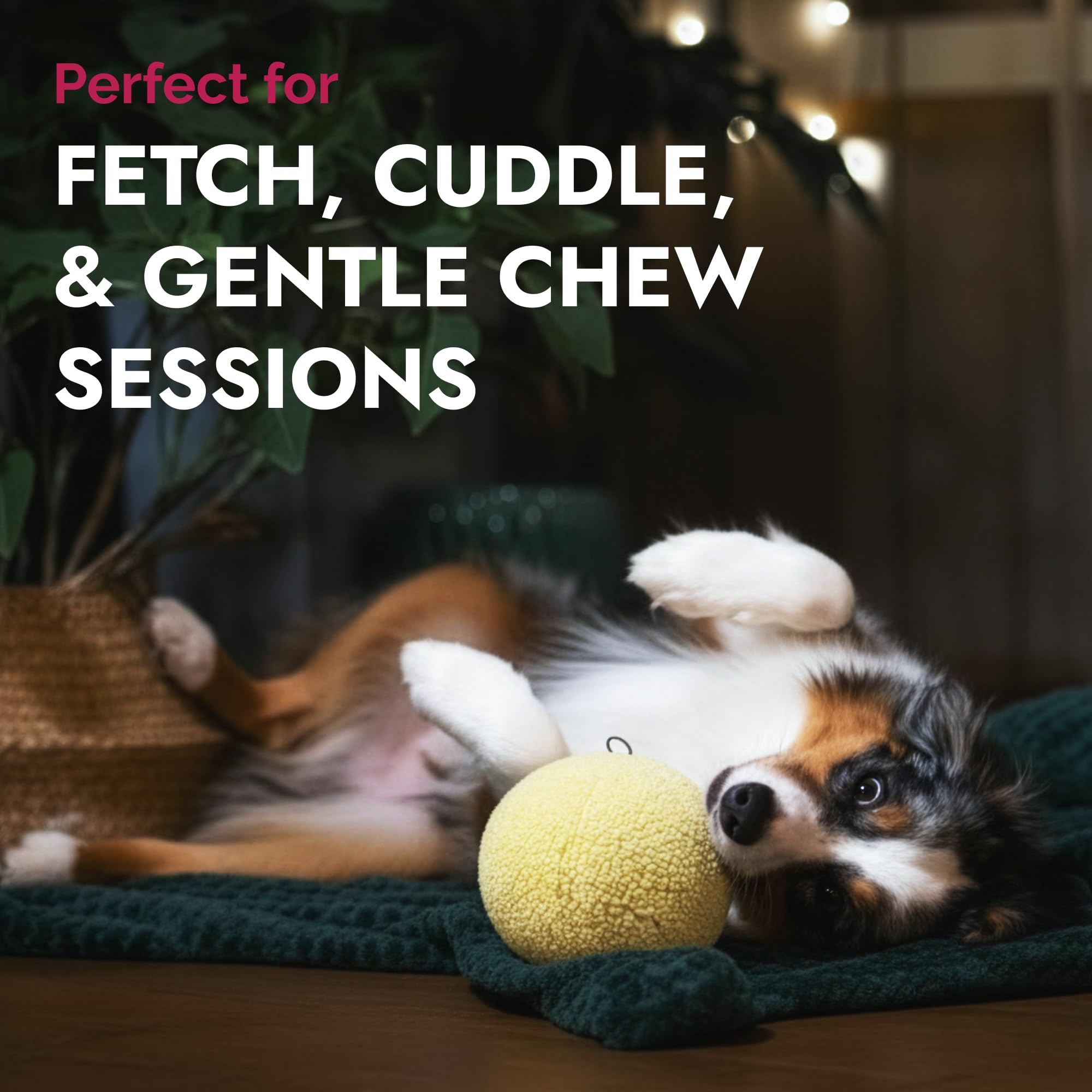 Petlou Dog Fleece Ball Chew Toy, 8