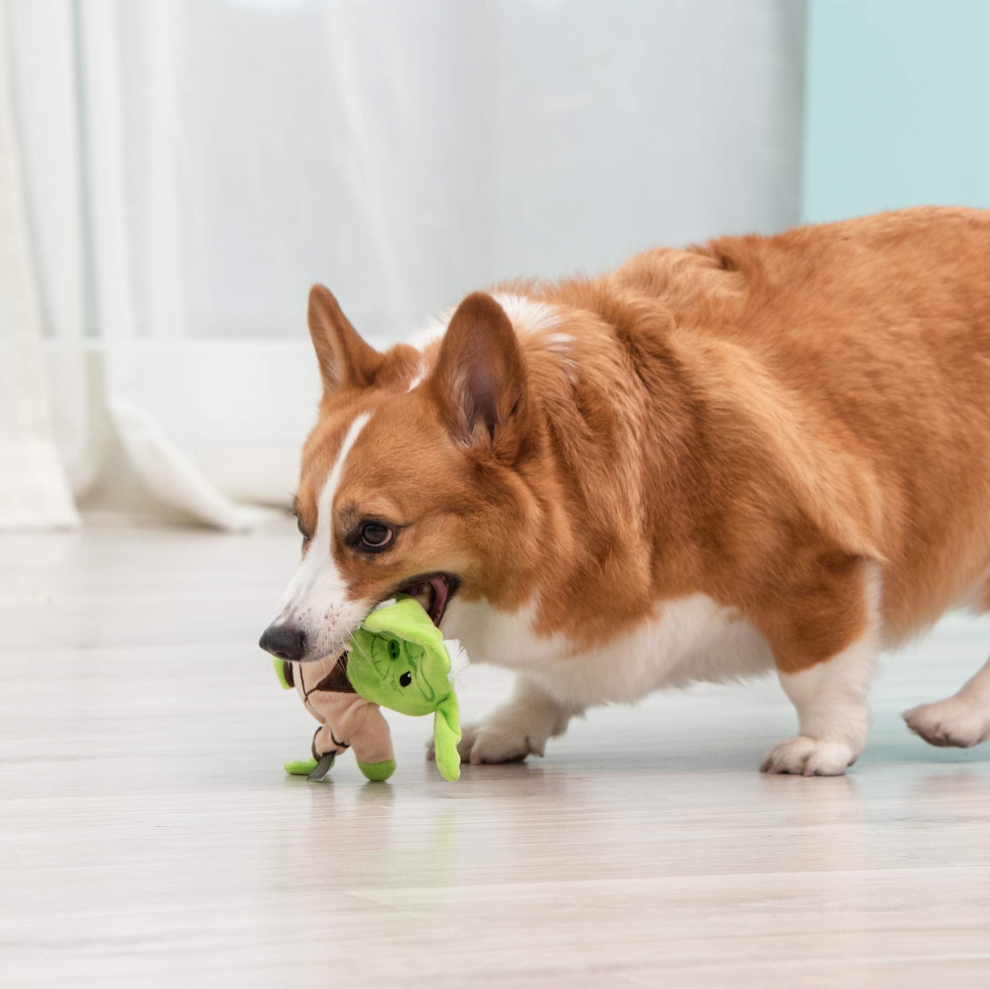 STAR WARS Plush Yoda Dog Toy - 9 Inch Stuffingless Flat Toy - Green - Model FF13373