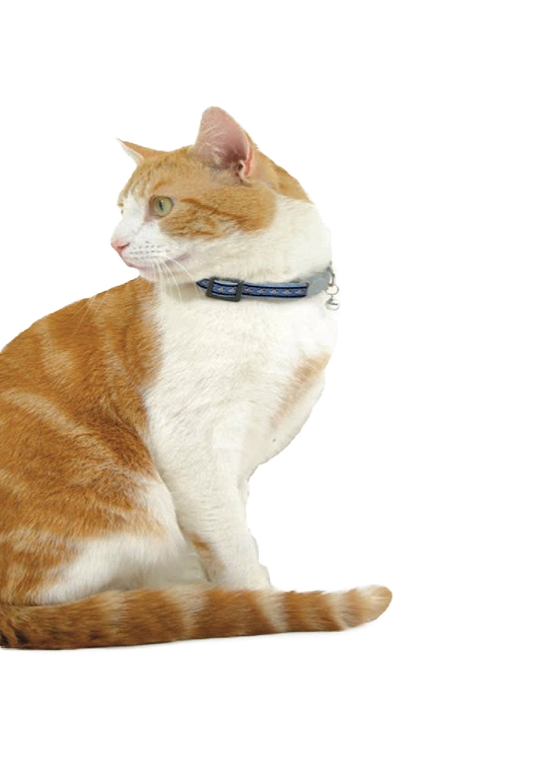 Red Dingo Reflective Cat Collar, One Size Fits All, Hotpink