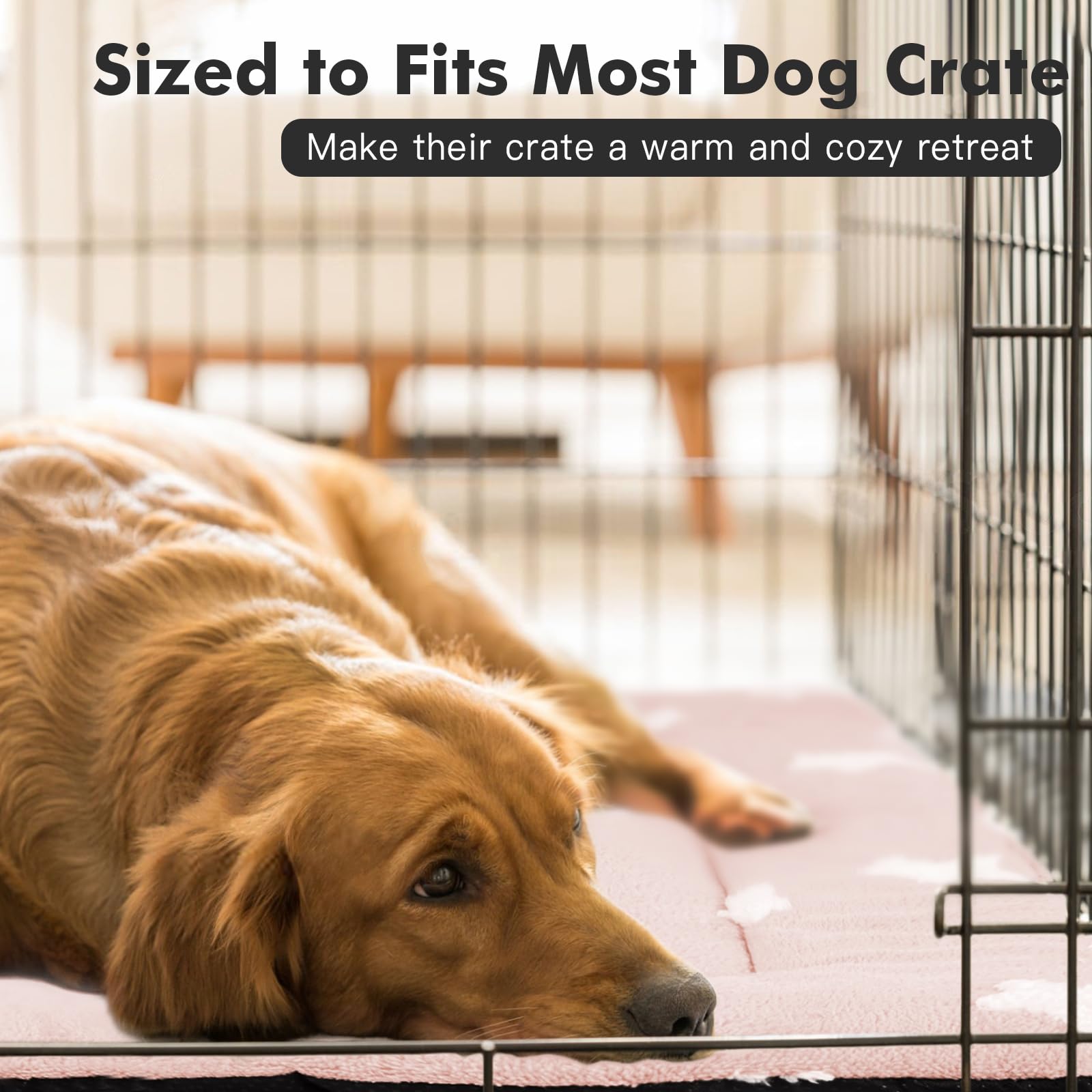 Mora Pets Dog Crate Pad Kennel Bed Crate Mat For Small Dogs Washable Cute Star Pet Bed For Dog Cage Ultra Soft Flat Puppy Cat Ki