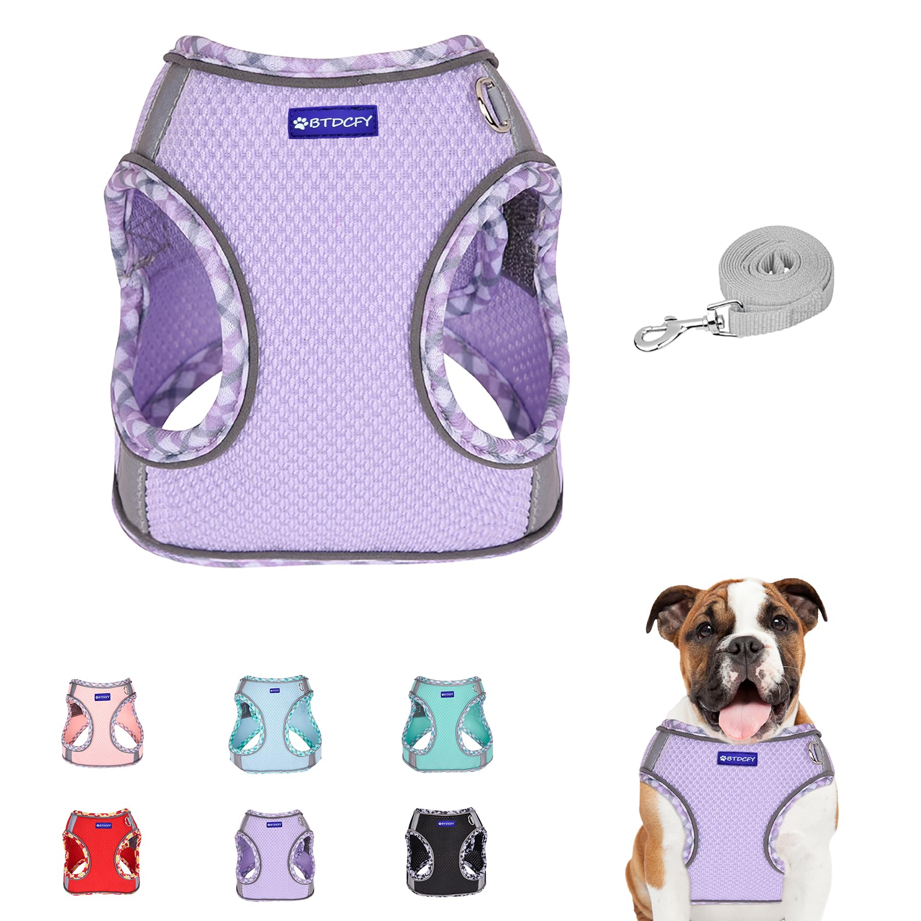 BTDCFY Step in Mesh Dog Harness and Leash Set, Breathable Air Mesh, Reflective, Escape Proof, No Choke, Lightweight, Purple, S(n