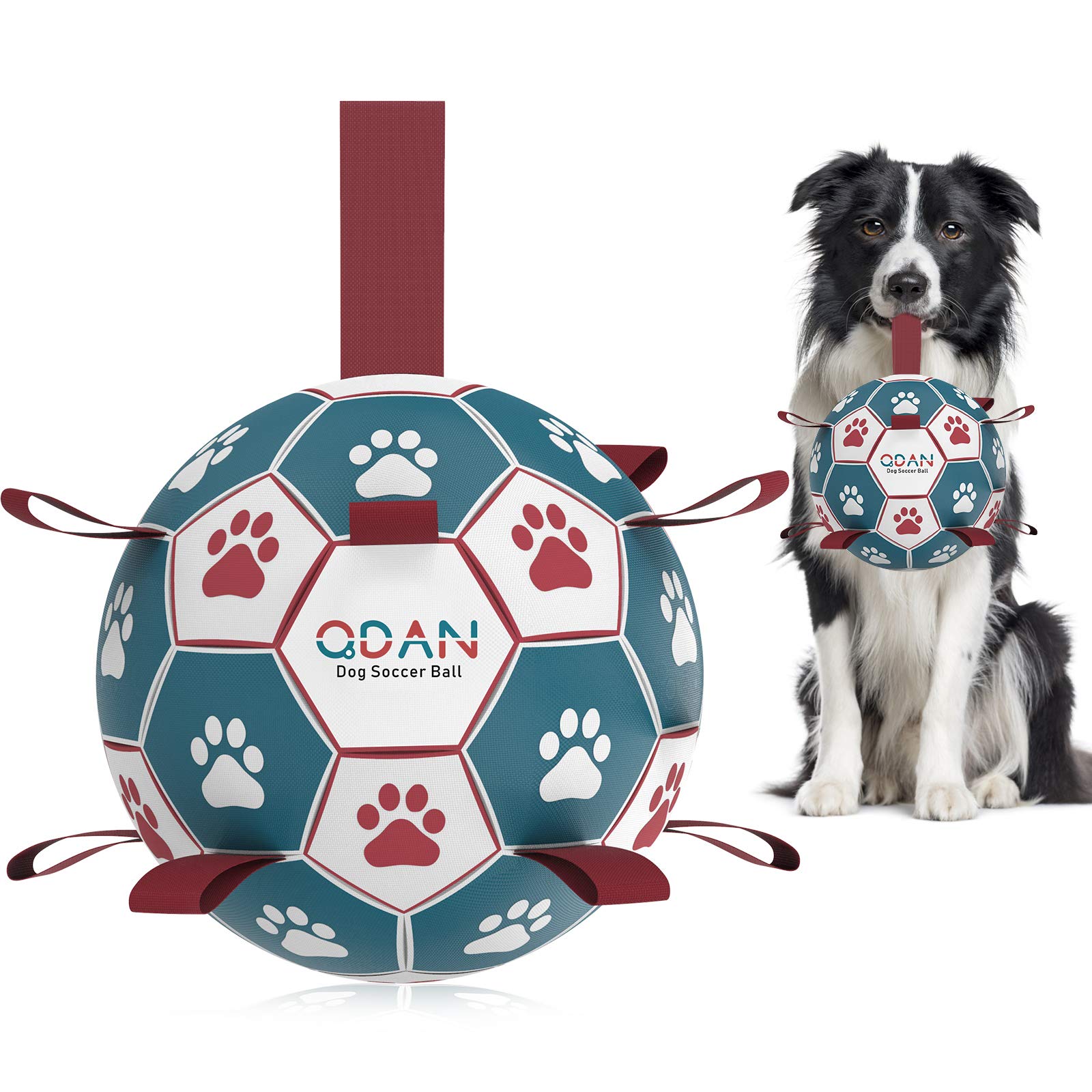 QDAN Interactive Dog Toys Basketball - Tug of War Toy for Small & Medium Dogs, 6 Inch, C-Dog Basketball, Durable Design