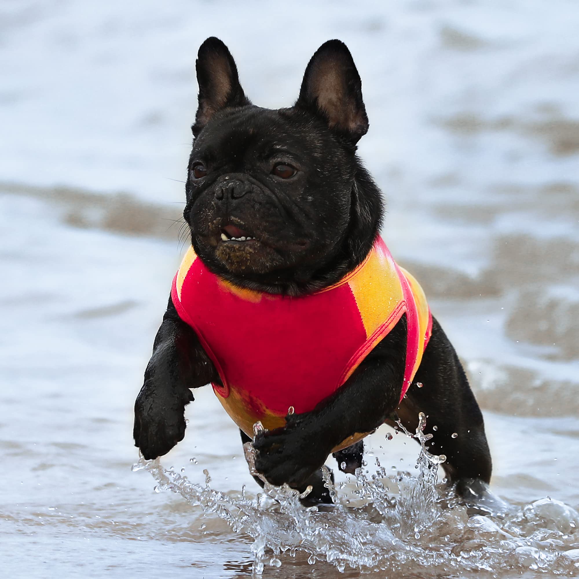 Fitwarm 2-Pack Dog Shirt, Tie Dye Dog Clothes For Small Dogs, Cotton Sleeveless Vest T-Shirt, Cat Apparel, Yellow Blue, Medium