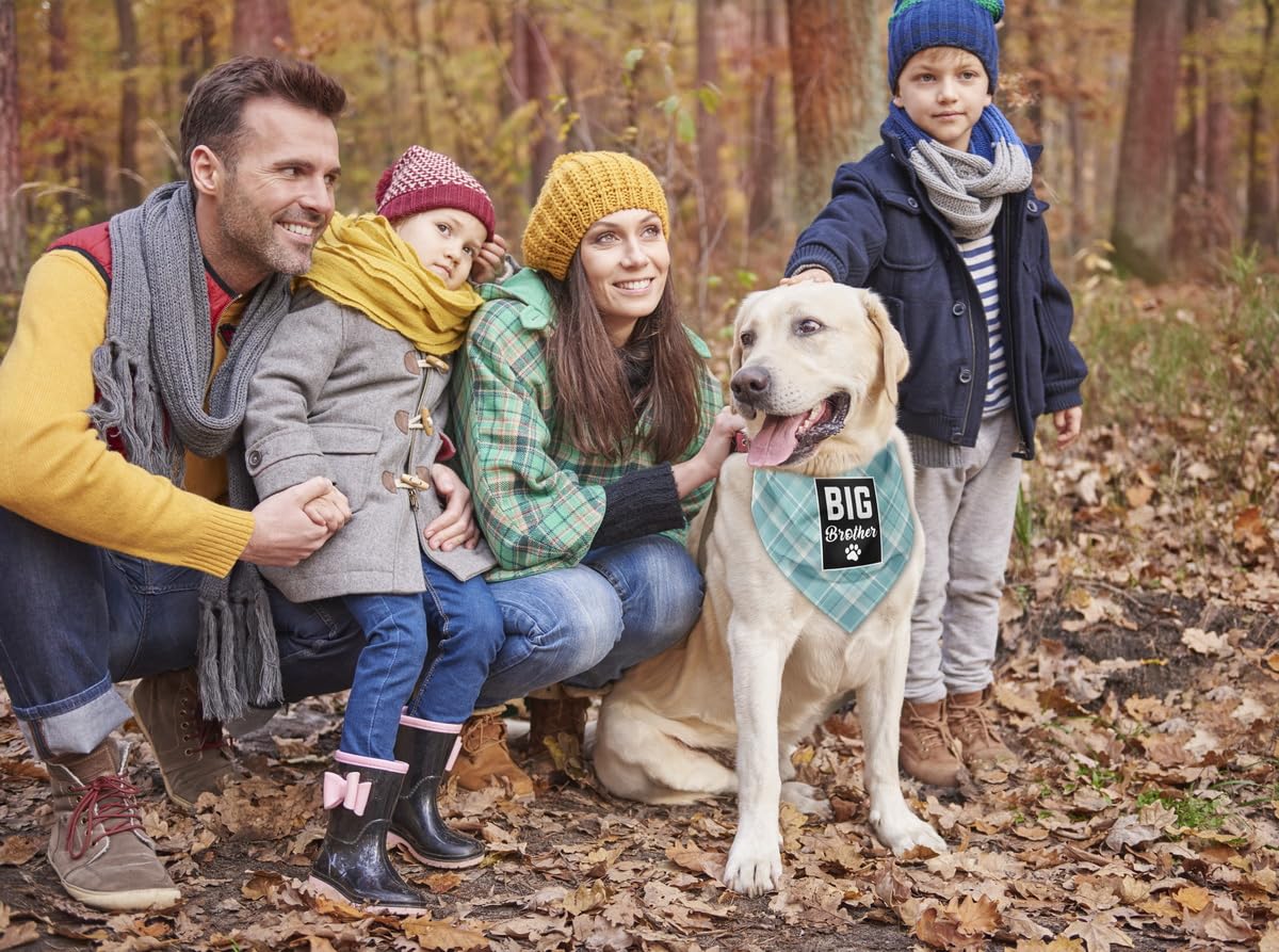 Dog Bandana, Big Brother Dog Bandana, Dog Scarf Plaid Printing, Dog Scarf Accessories, Dog Bandana Pet Scarf, Pet Plaid Scarf Ge