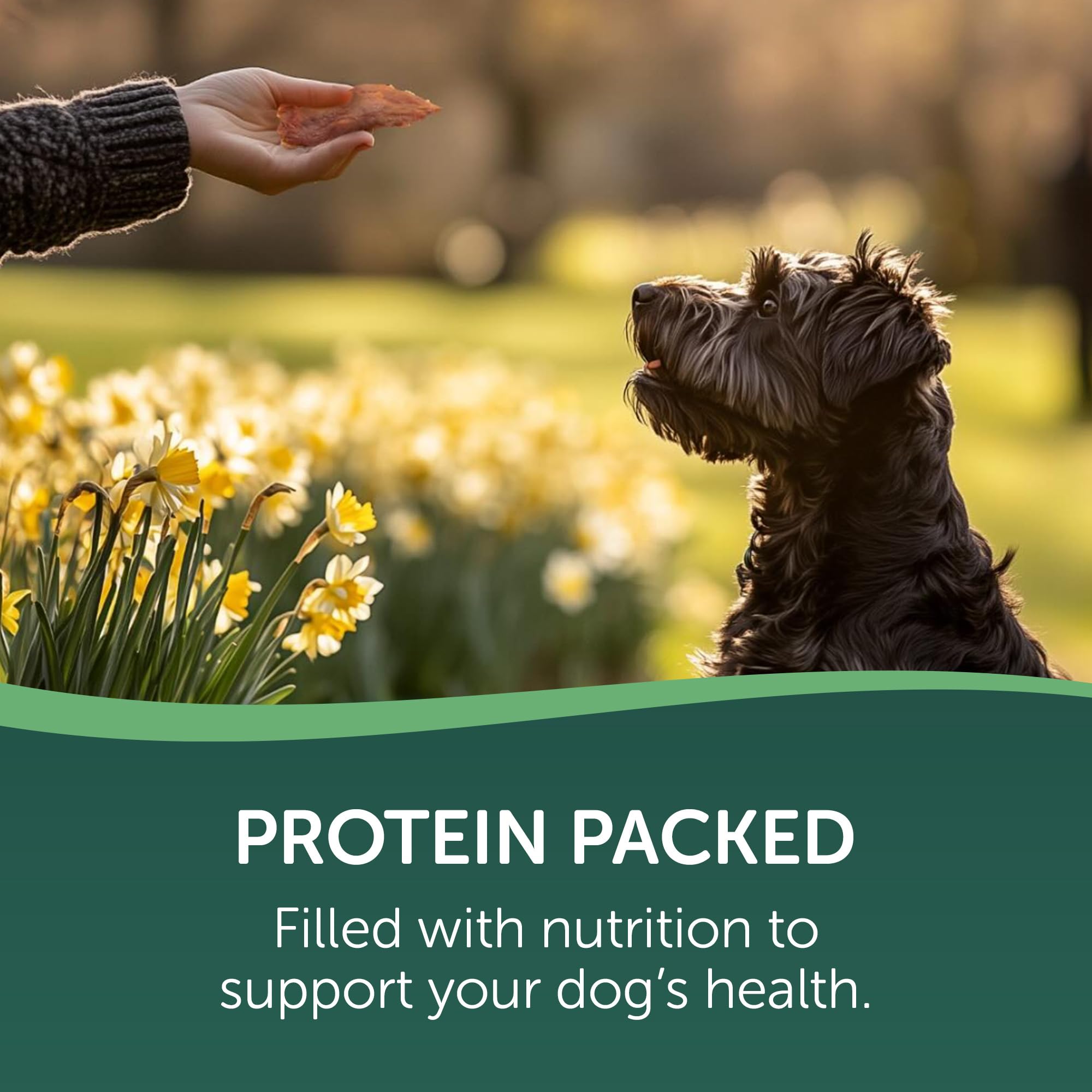 Healthfuls Chicken Jerky Dog Treats, 16oz