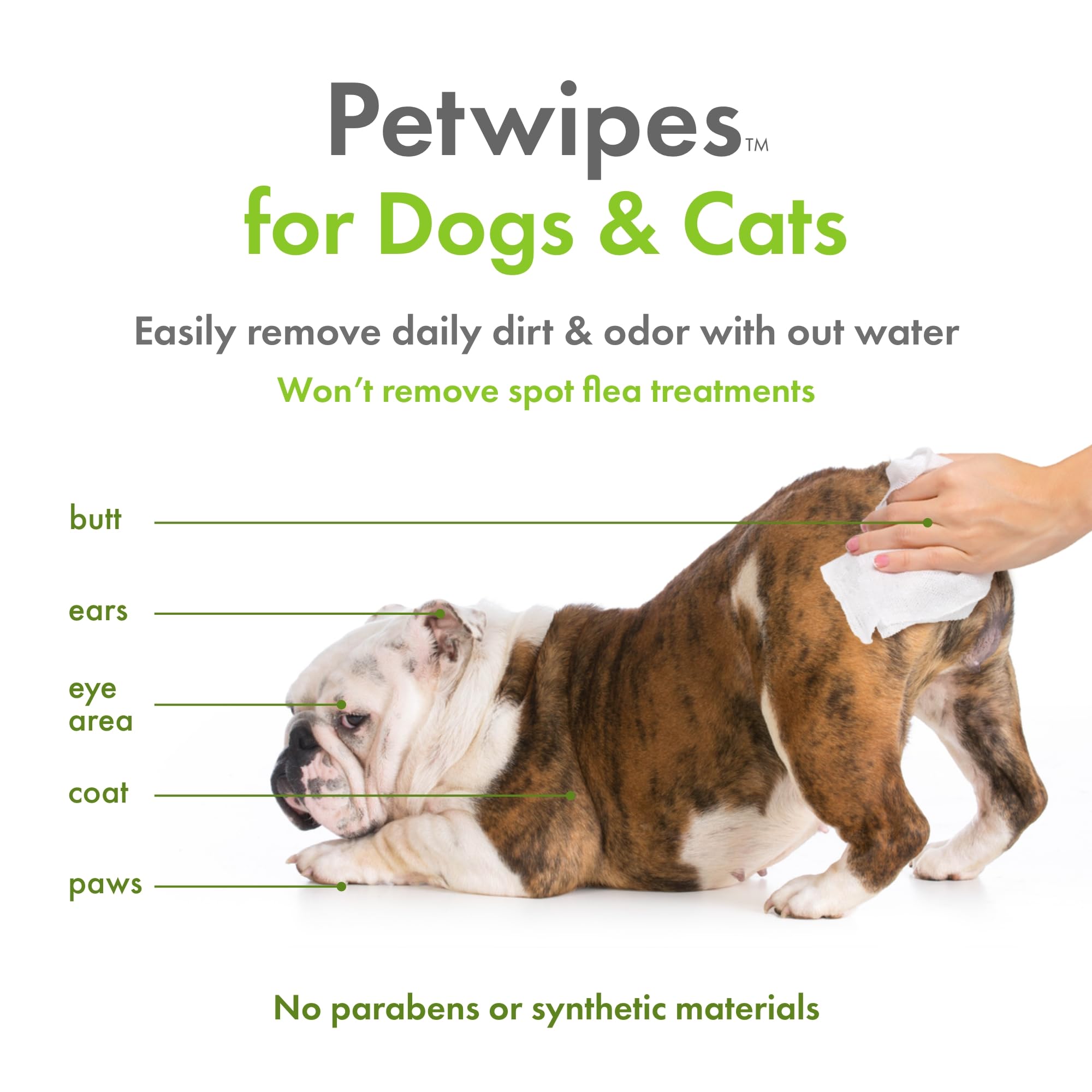 Petkin Plant-Based Petwipes, 100 Wipes, 2 Pack - Biobased, Sustainable, Big & Thick Pet Wipes For Dogs & Cats - For Face, Paws,