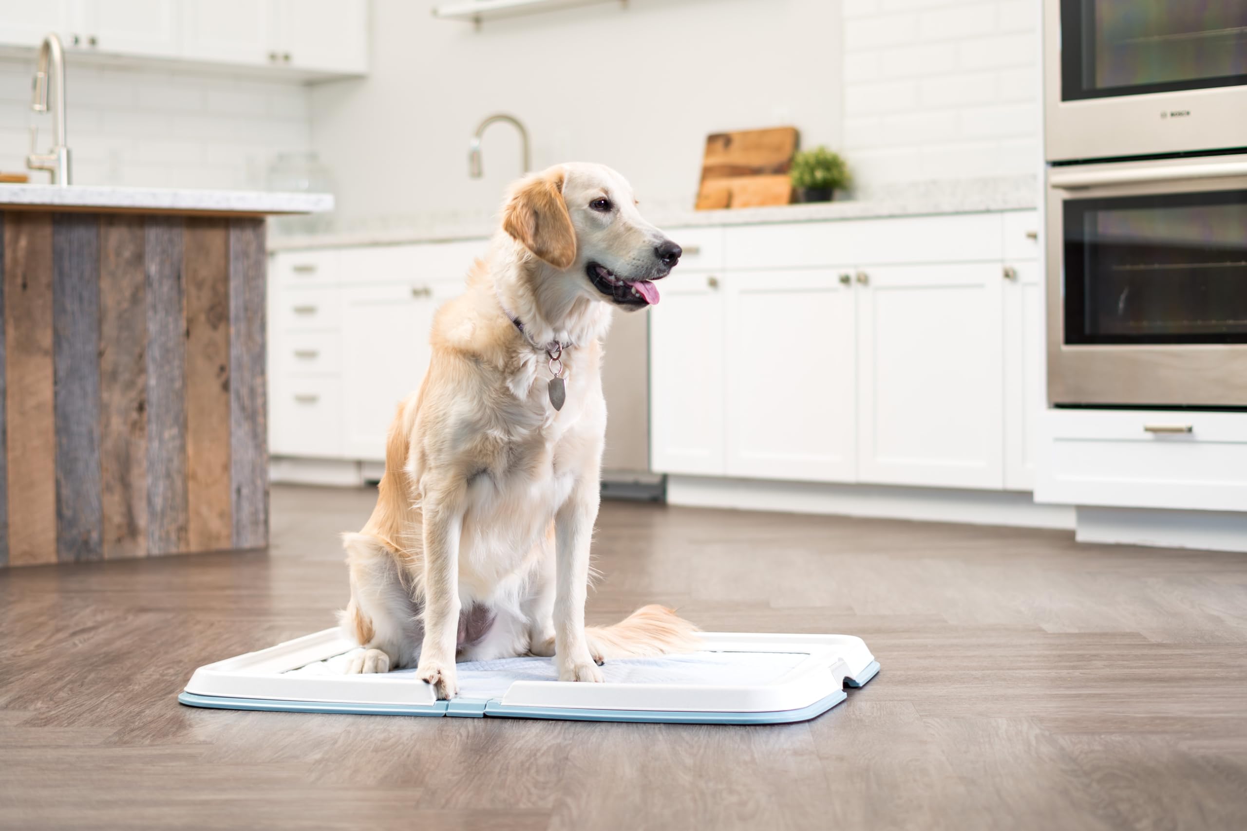 IRIS USA XL Pee Pad Holder - Foldable, Non-Skid Rubber Feet, Blue, Model 301565, Fits 23"x35" Pad or Larger