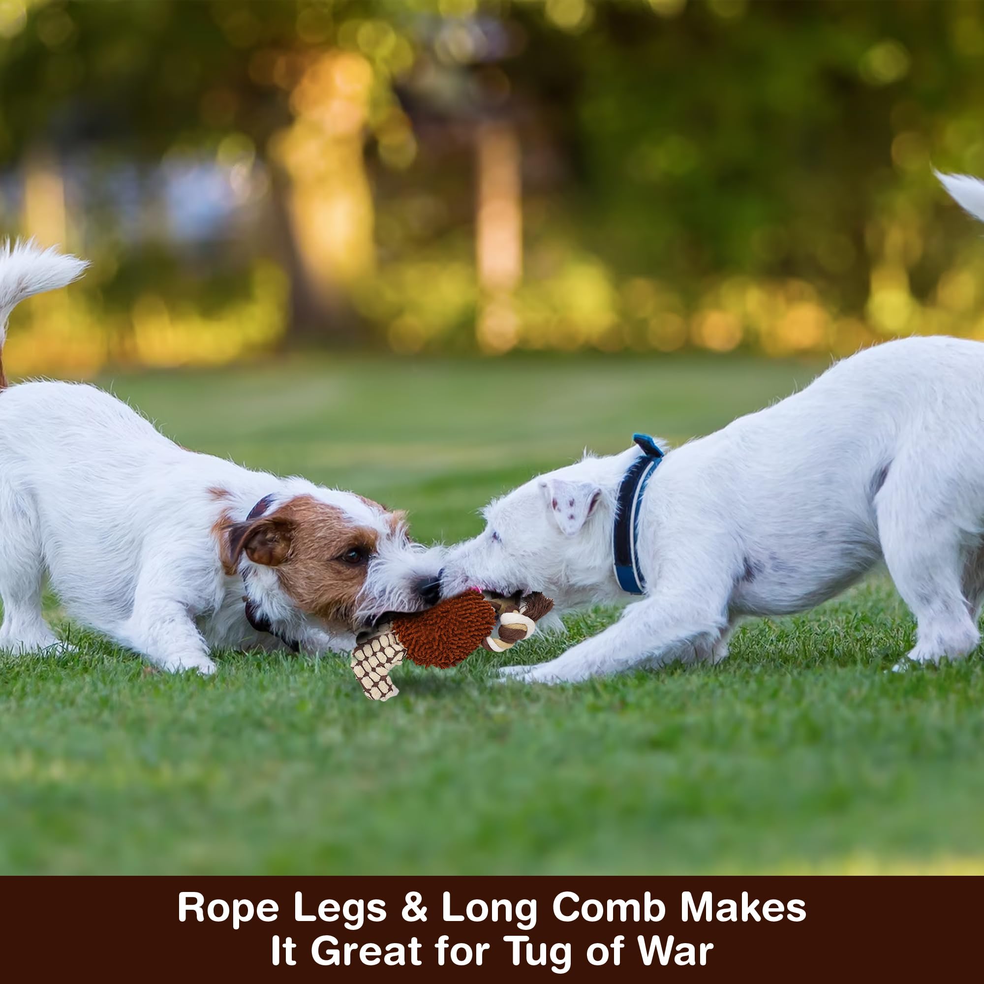 Ethical Pets Gigglers Chicken Dog Toy, 12-Inch, Assorted