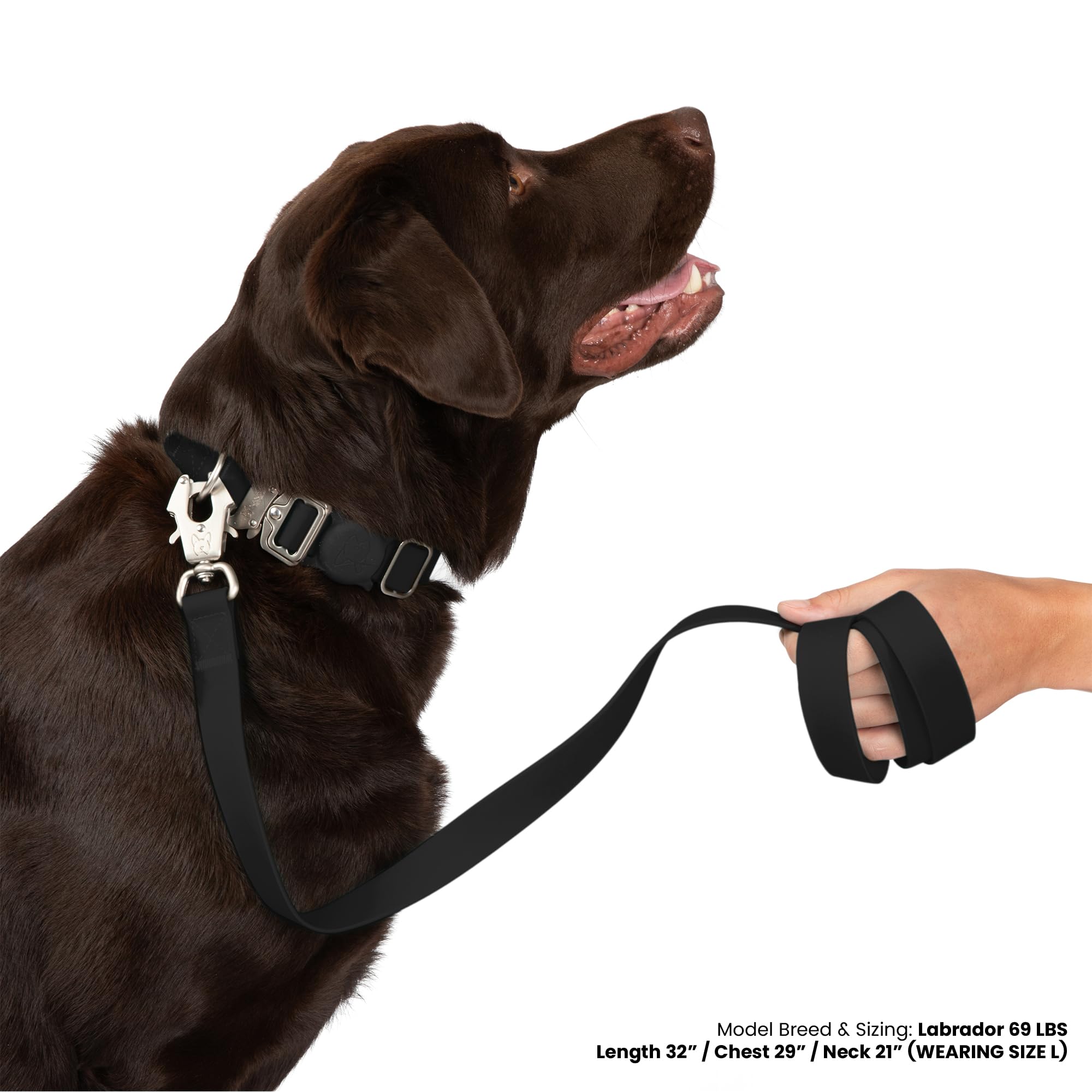 Nandog The Signature Collection Waterproof Poly-Flex Sport Dog Collar In Large, Black - Durable & Adjustable - Secure Double Lat
