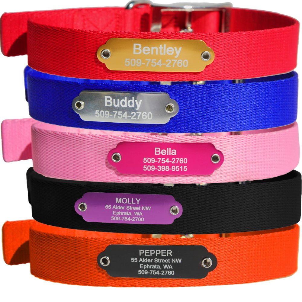 Gotags Personalized Dog Collar With Rivet-On Nameplate, Custom Engraved Name Plate Id Tag On Nylon Dog Collar In 5 Color Options
