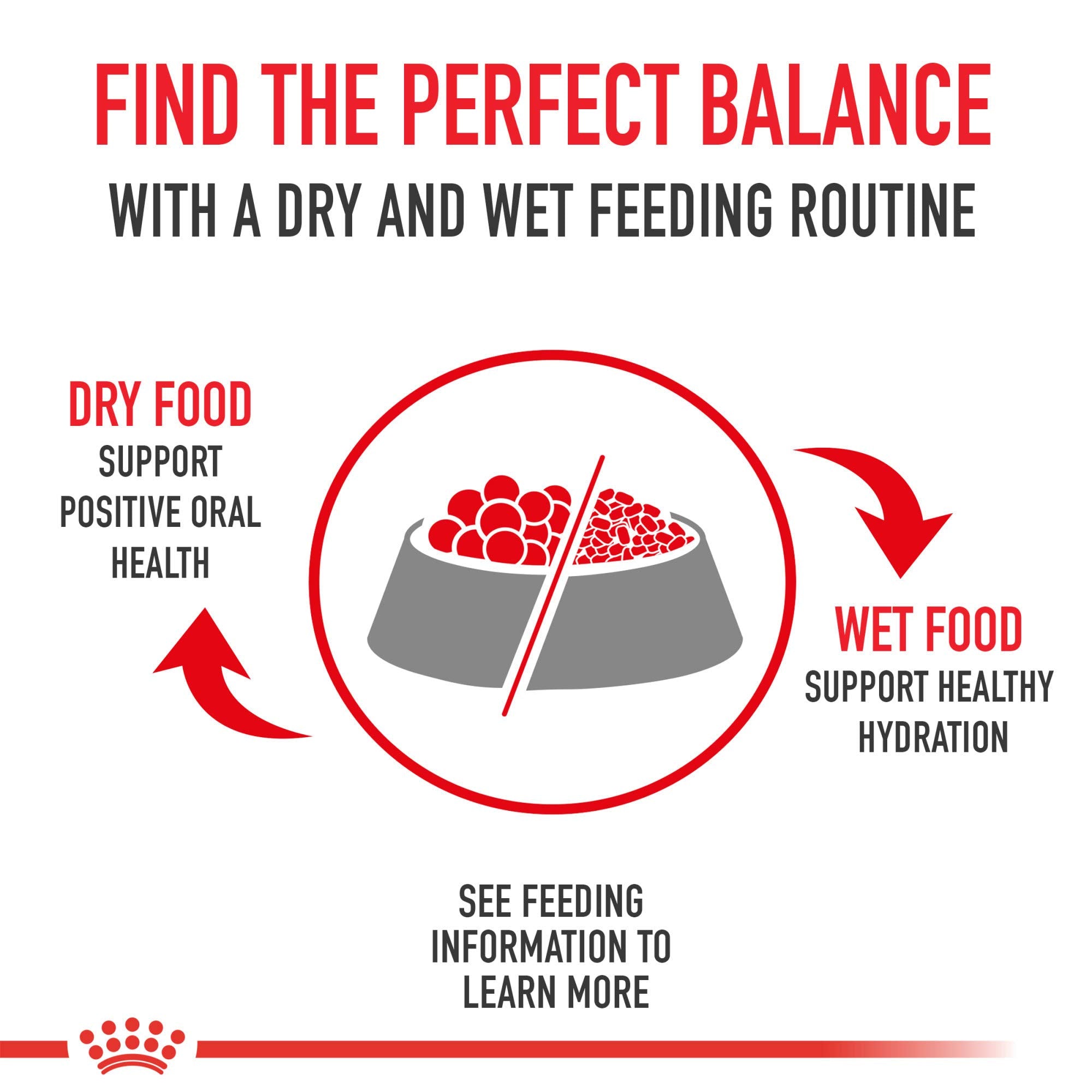 Royal Canin Large Breed Adult Dry Dog Food, 35 lb bag