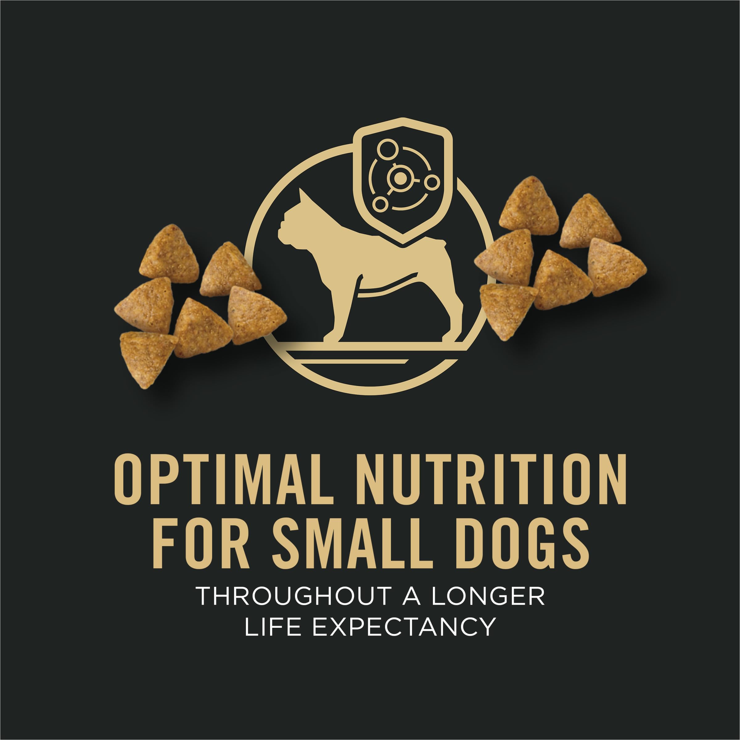 Purina Pro Plan High Protein Small Breed Dog Food, Chicken & Rice Formula - 6 lb. Bag